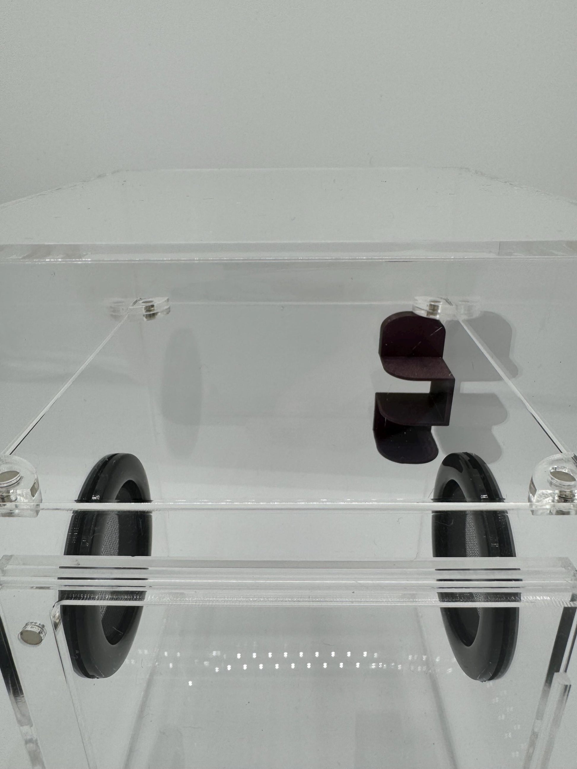 Small Magnetic Jumping Spider shelf ledge *Built In Magnet*