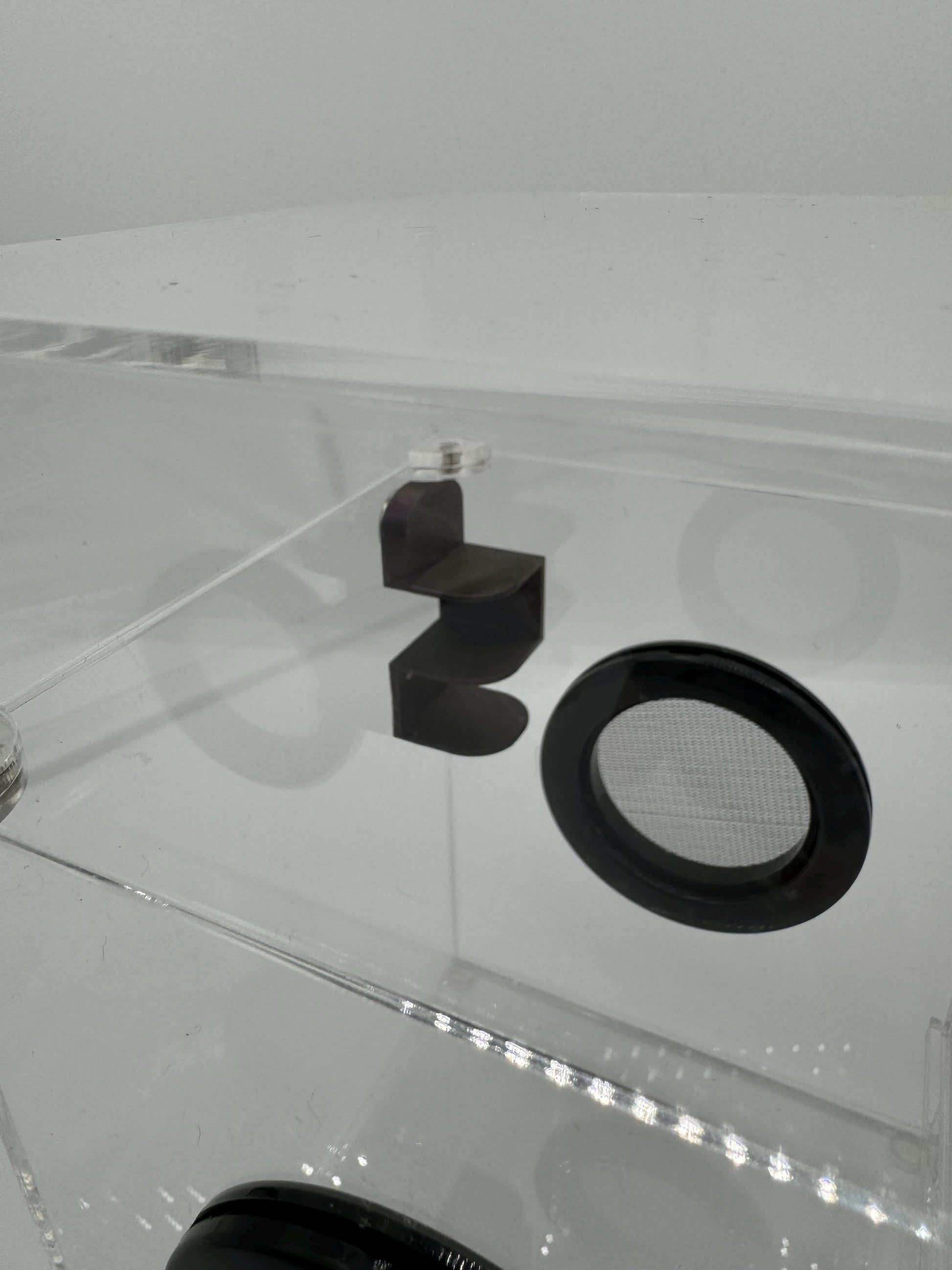 Small Magnetic Jumping Spider shelf ledge *Built In Magnet*