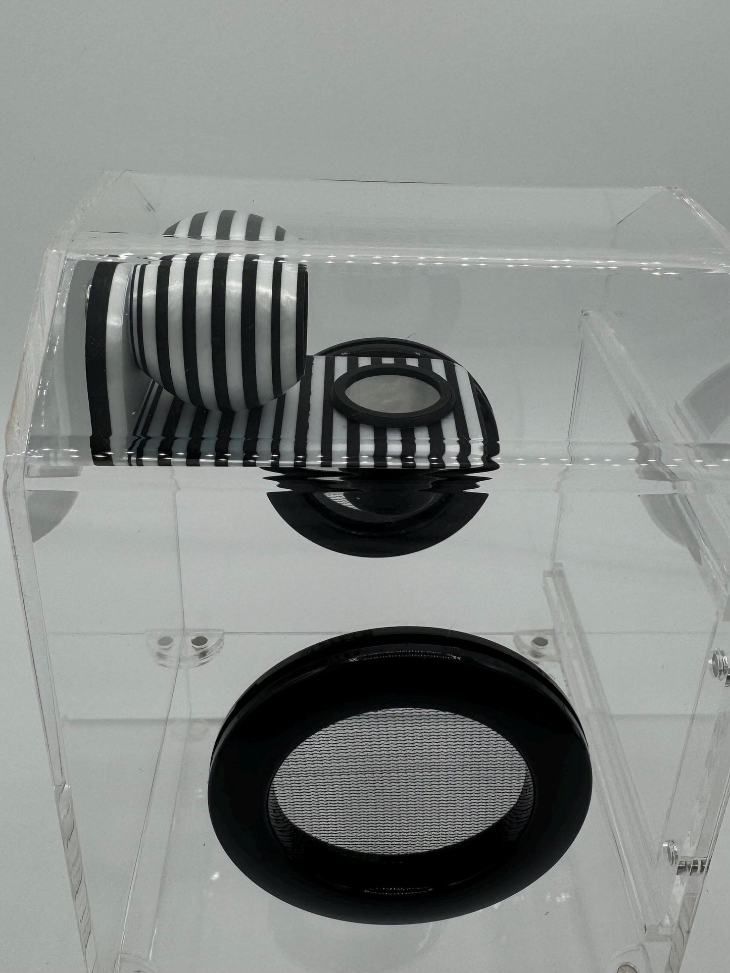 Spood Bed-and-Breakfast Combo Hide/ Ledge/ Bowl for jumping spider enclosures