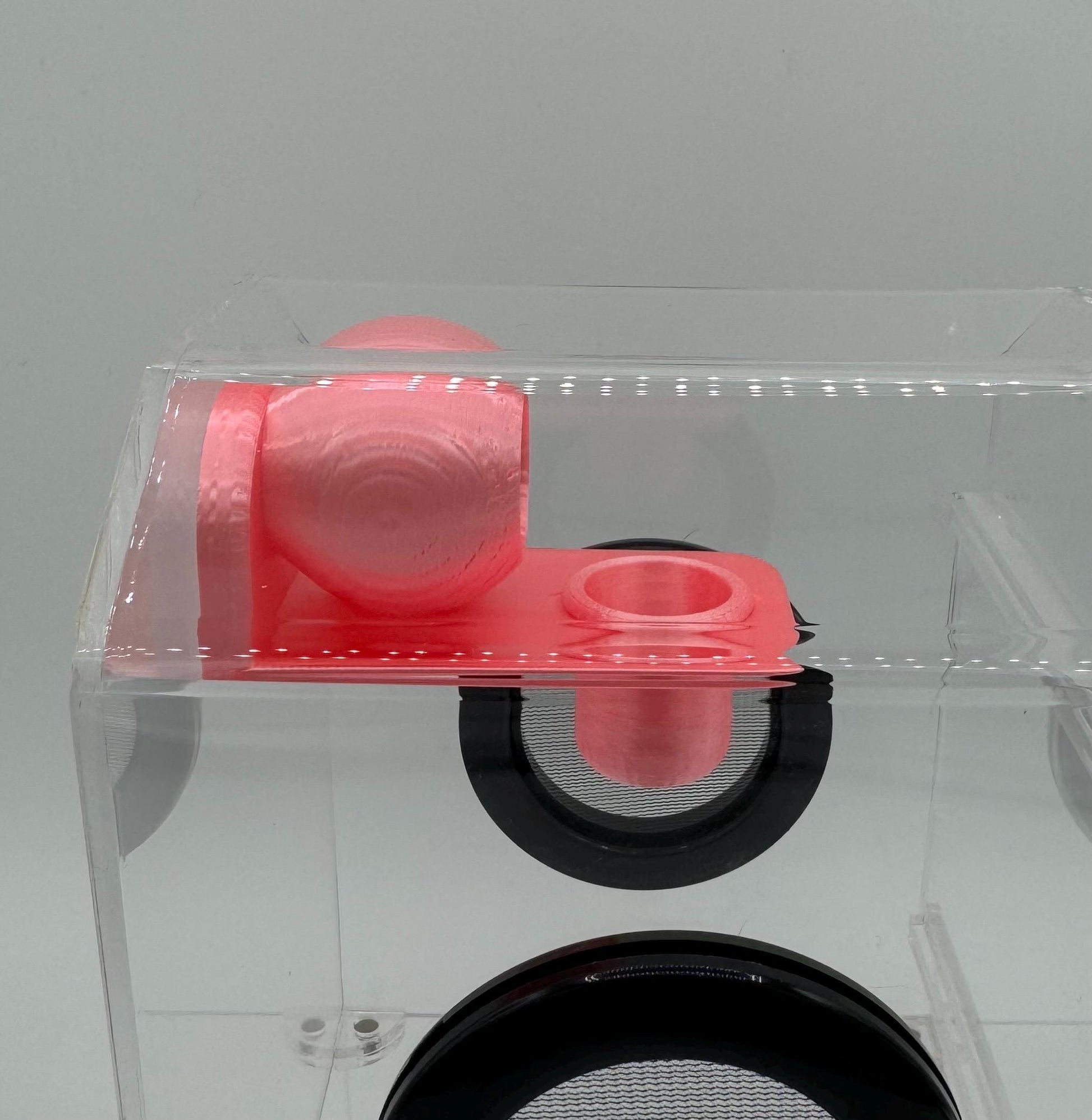 Spood Bed-and-Breakfast Combo Hide/ Ledge/ Bowl for jumping spider enclosures