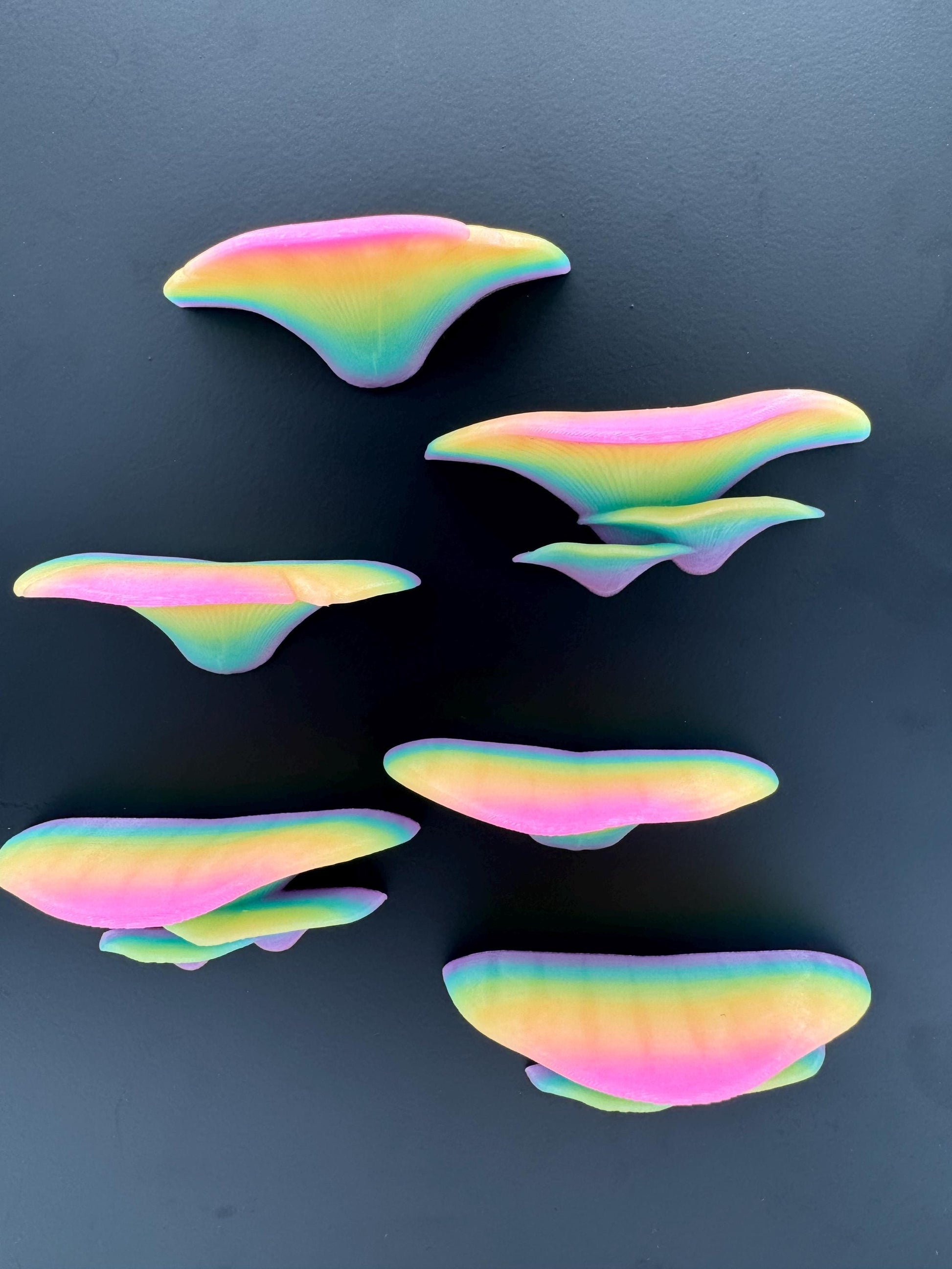 Magnetic rainbow “glow” mushroom ledge *Built In Magnet*