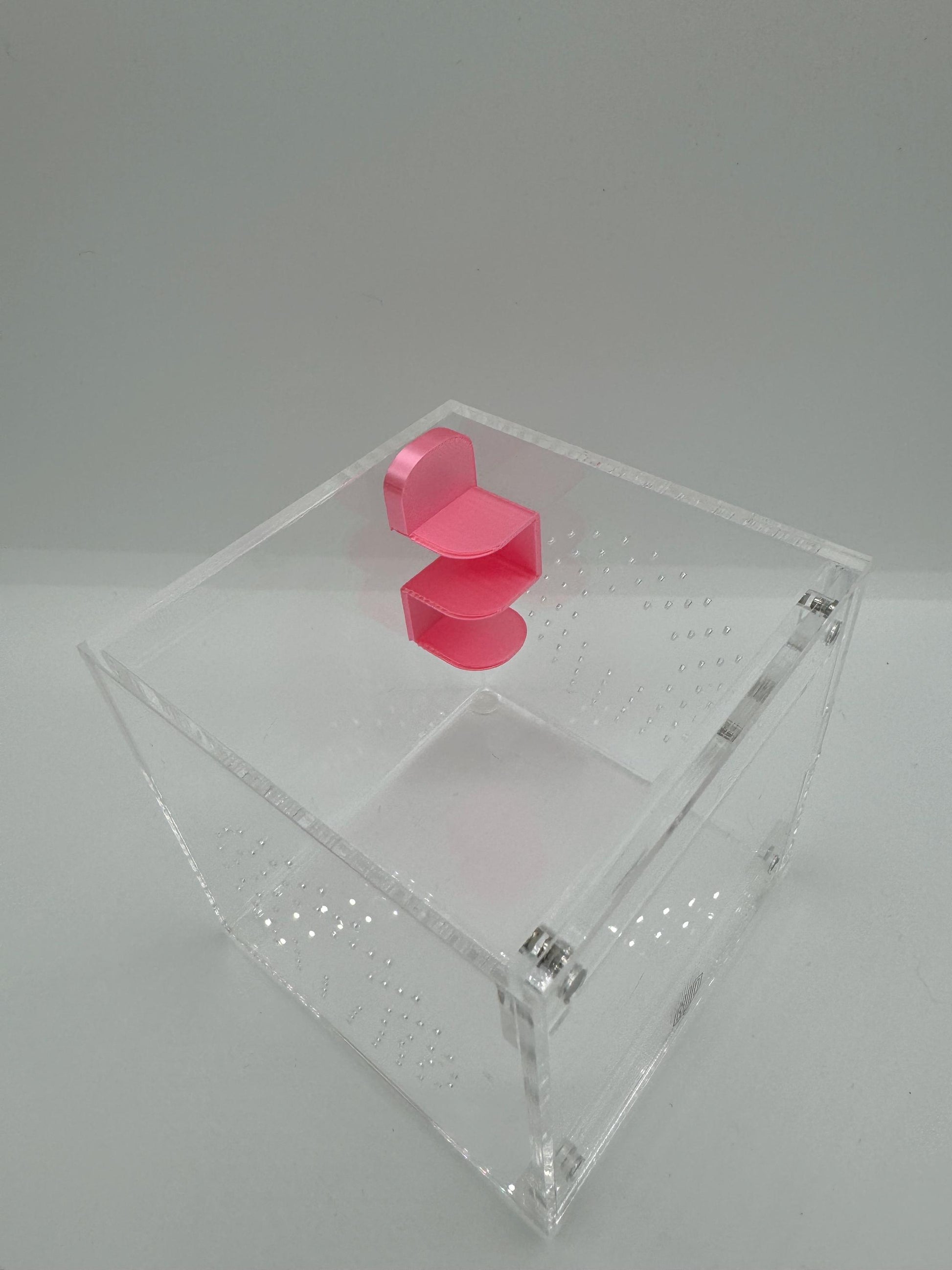 Small Magnetic Jumping Spider shelf ledge *Built In Magnet*