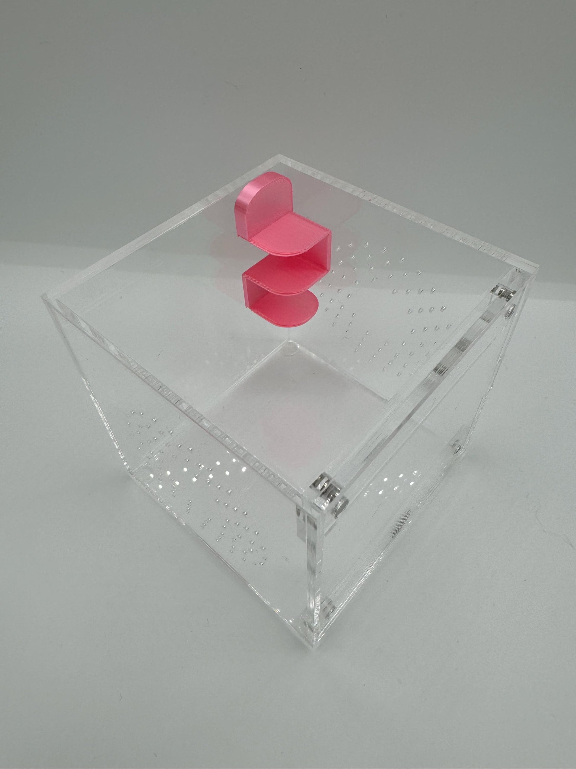 Small Magnetic Jumping Spider shelf ledge *Built In Magnet*