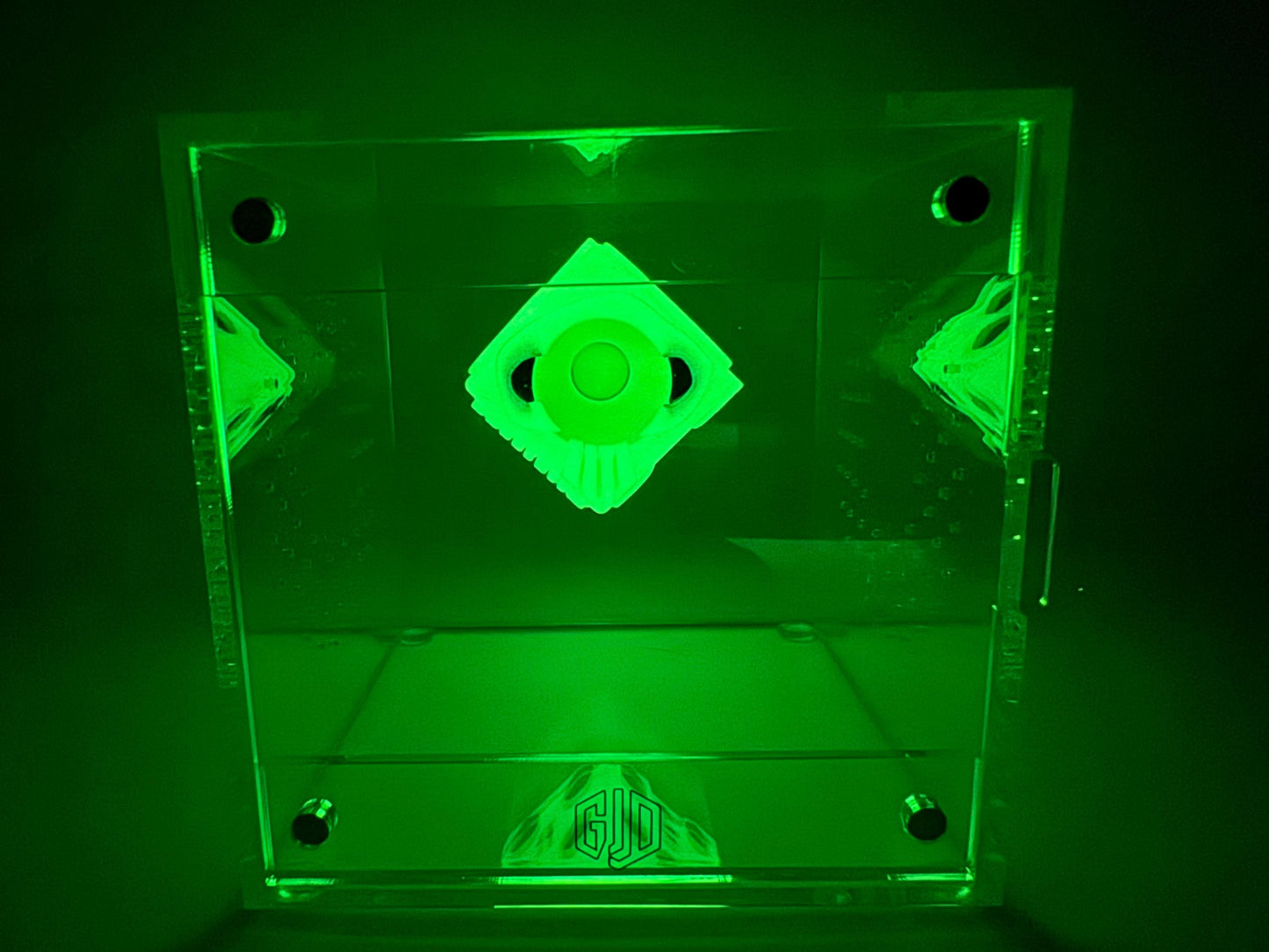 GLOW Boogie Dice jumping spider hide