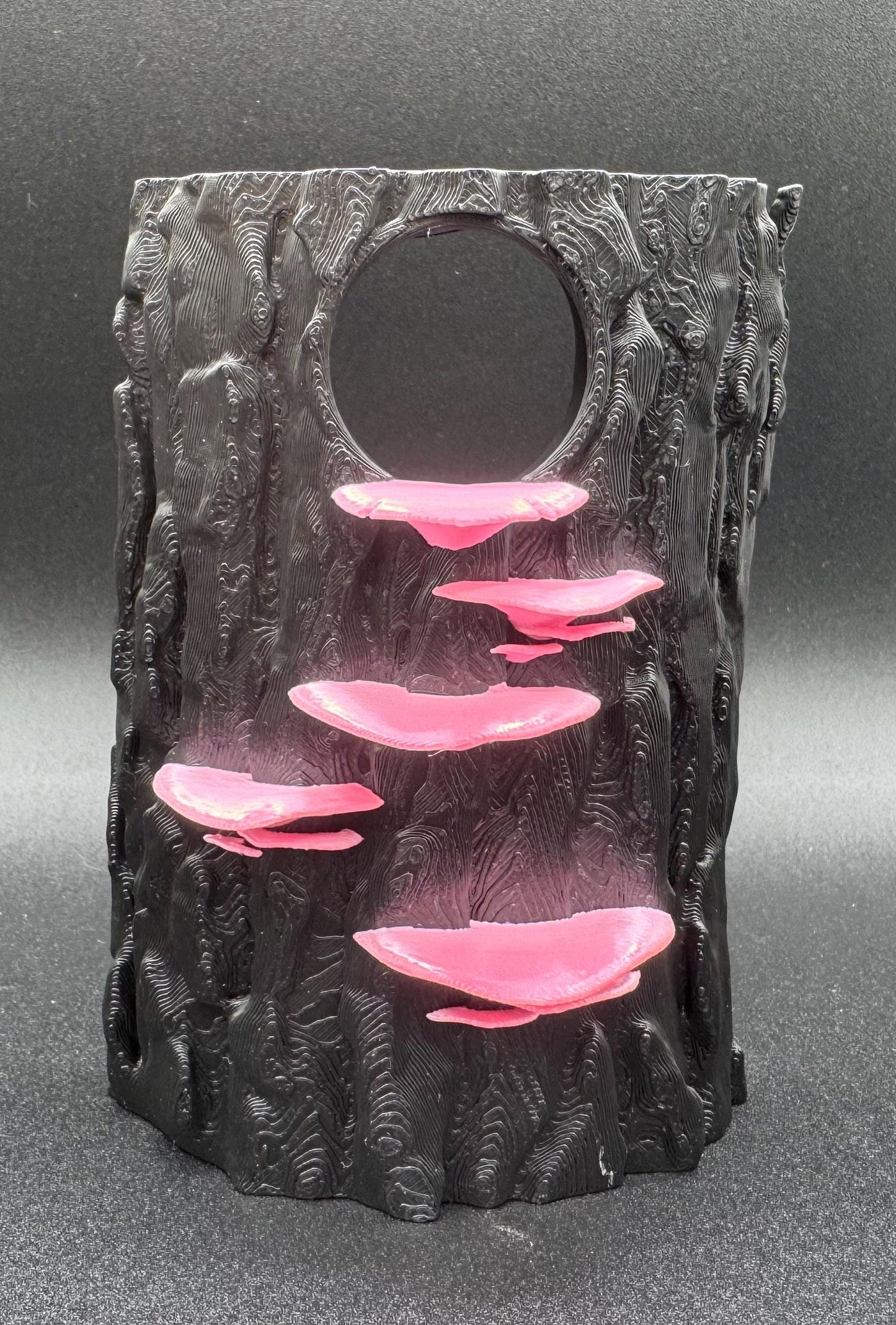 3D Universal Treeshouse Insert for jumping spiders and invertebrate enclosures