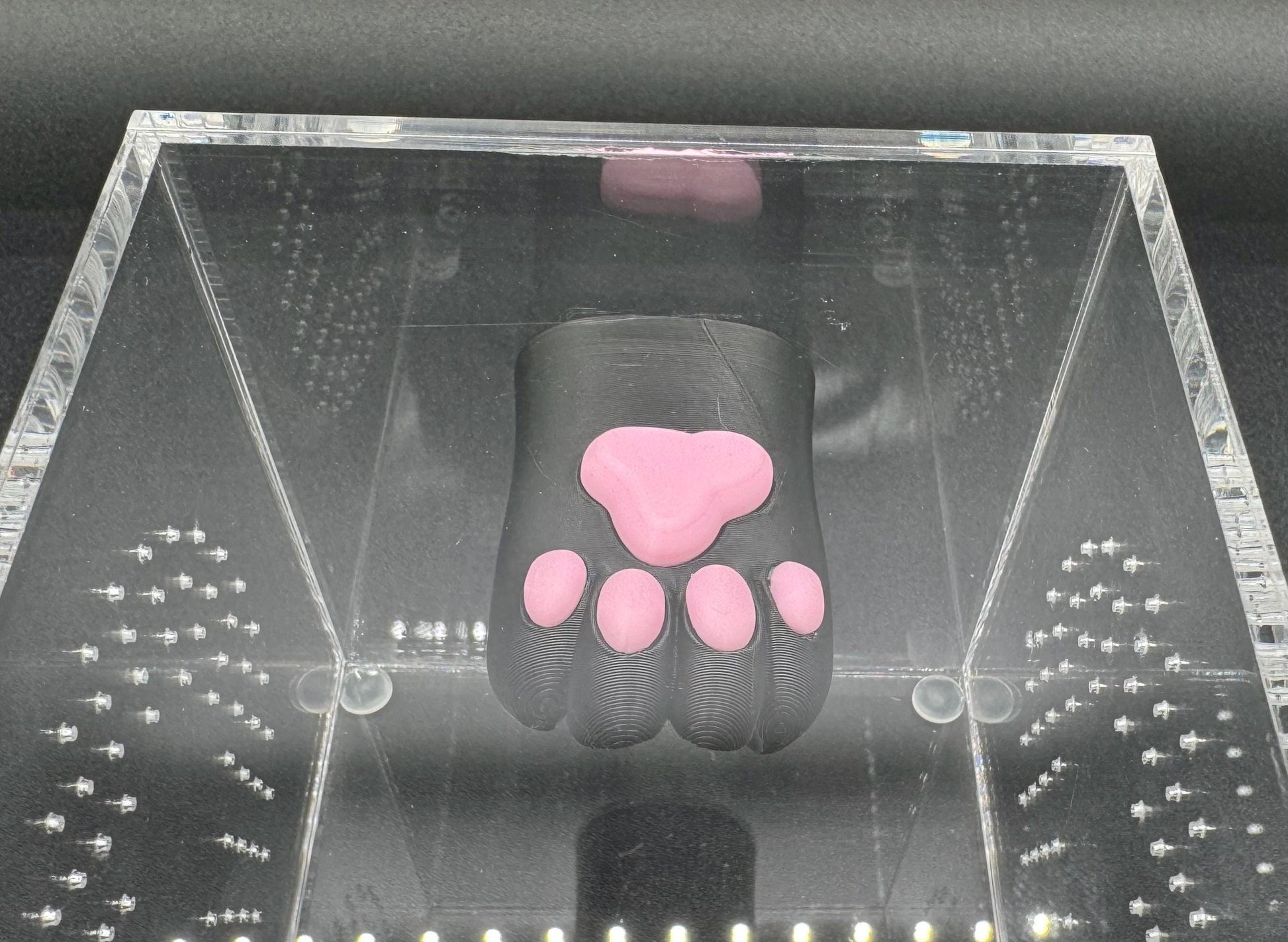 Cat paw hide for jumping spiders and invertebrates *Built In Magnet*