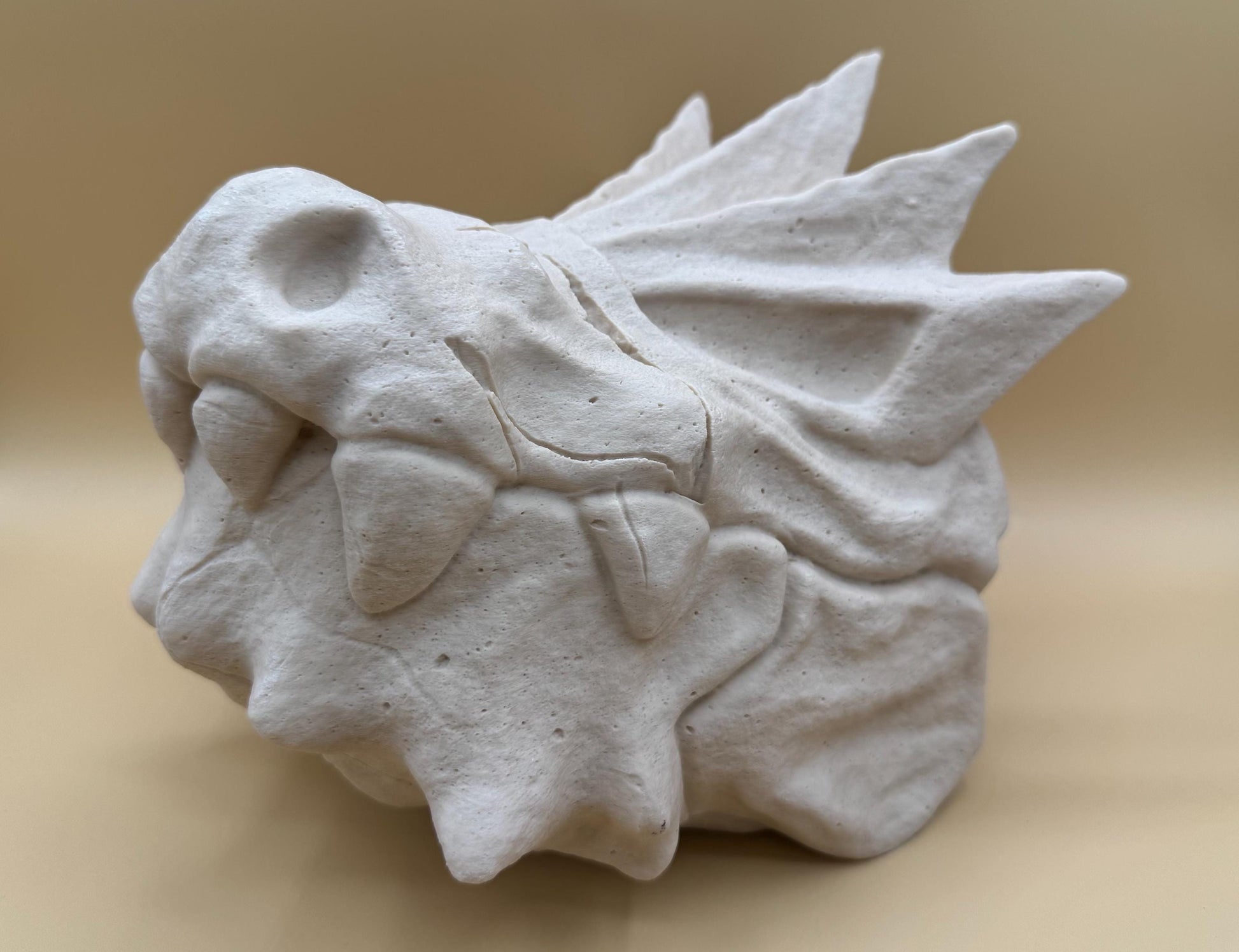 Large Tyrantrum Skull