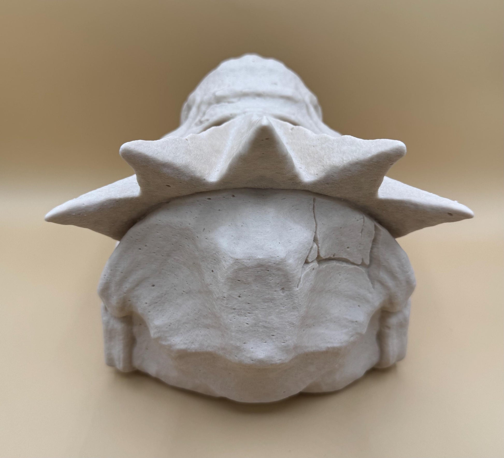 Large Tyrantrum Skull