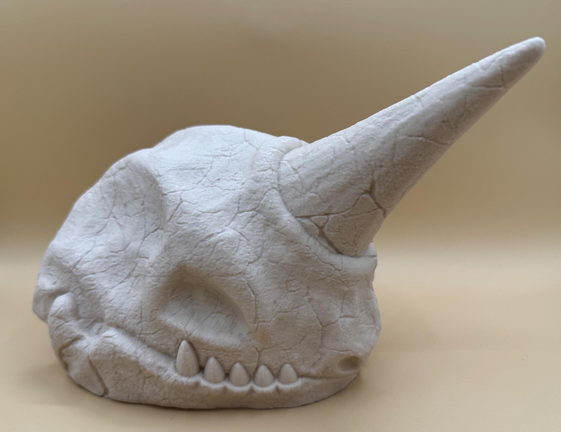 Large Nidoking Skull