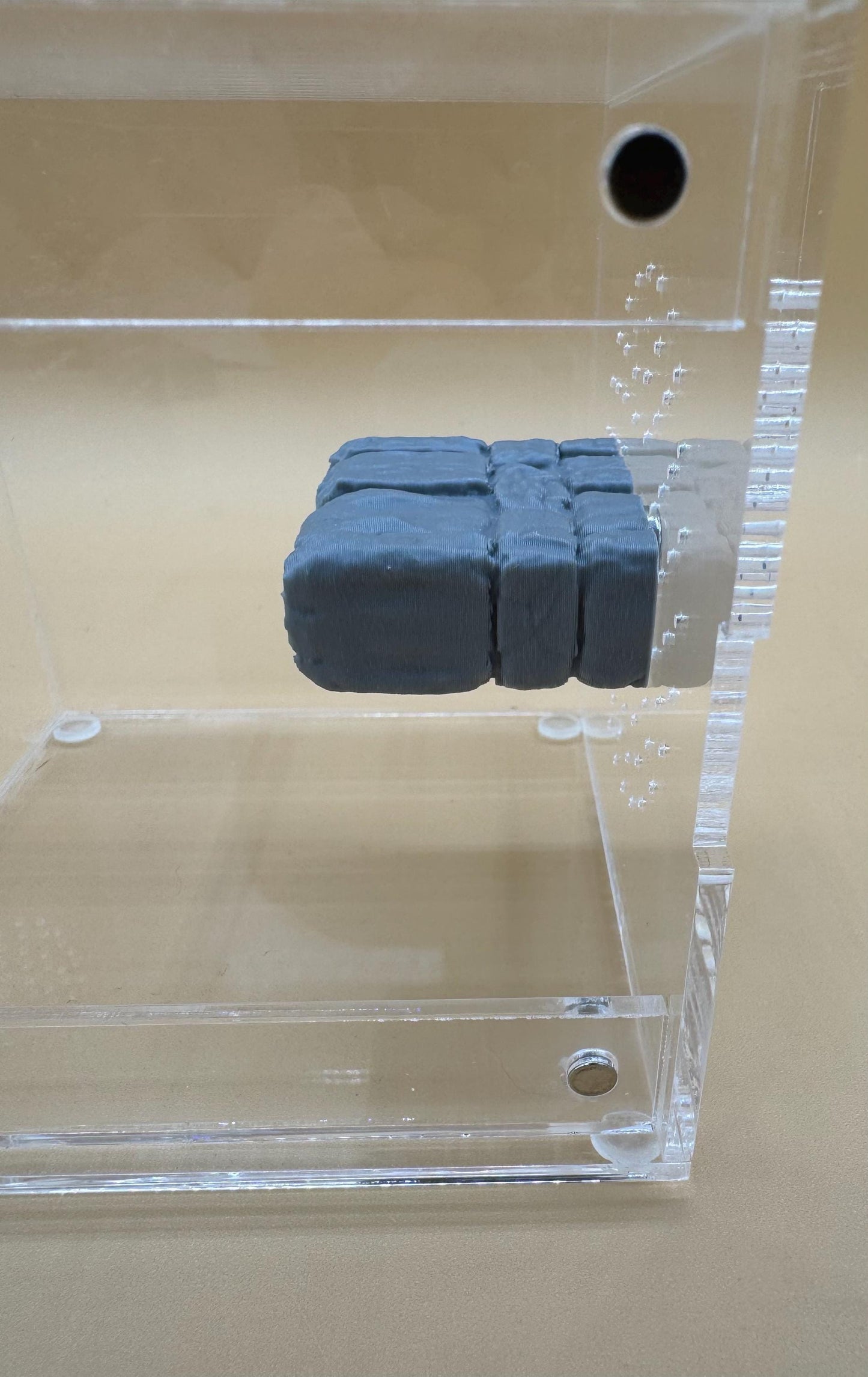 Dungeon ledge for jumping spiders and invertebrates *Built In Magnet*