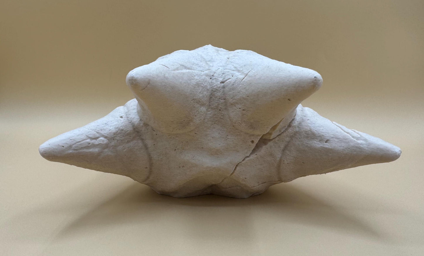 Large Golduck Skull