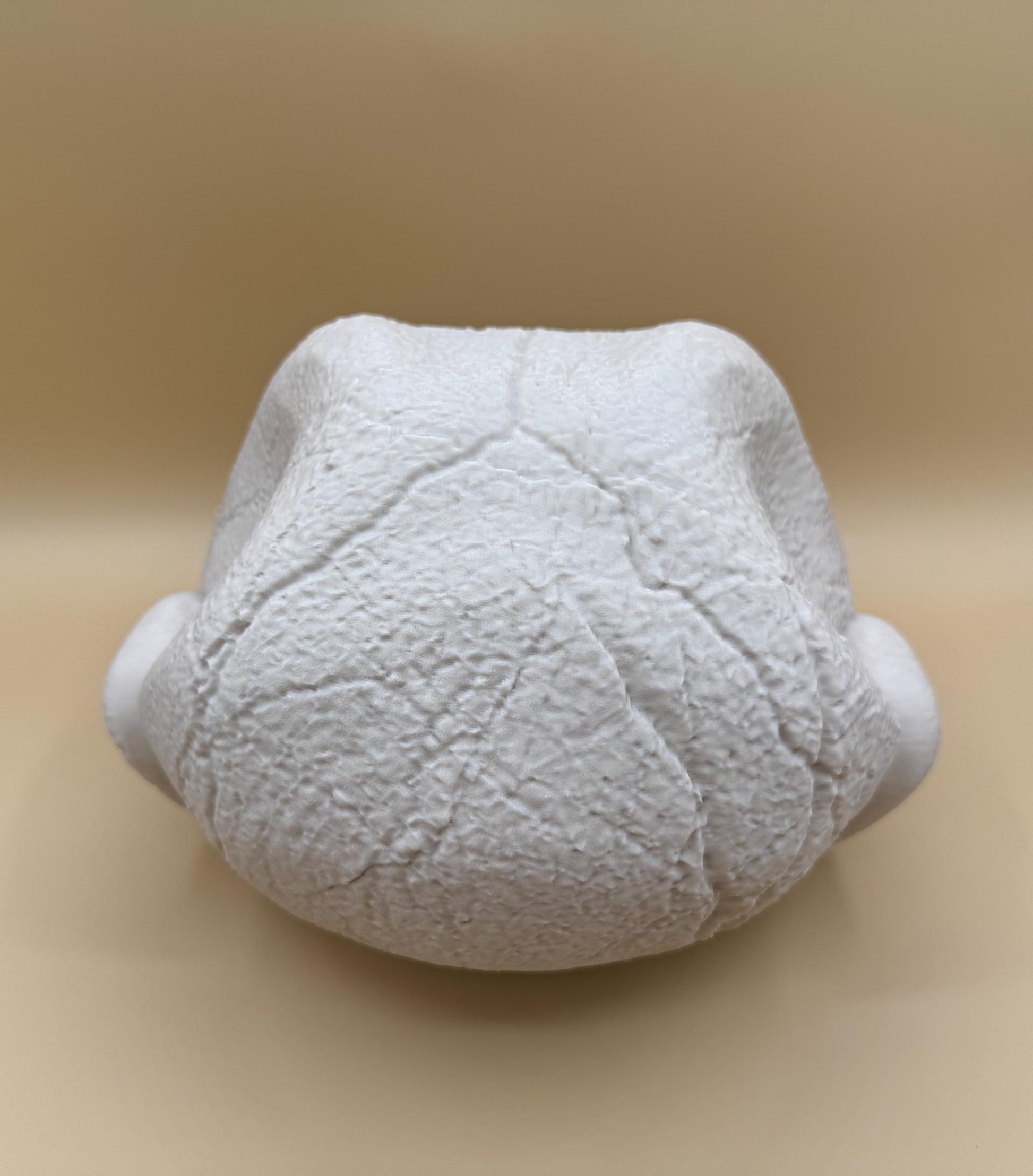 Large Blastoise Skull