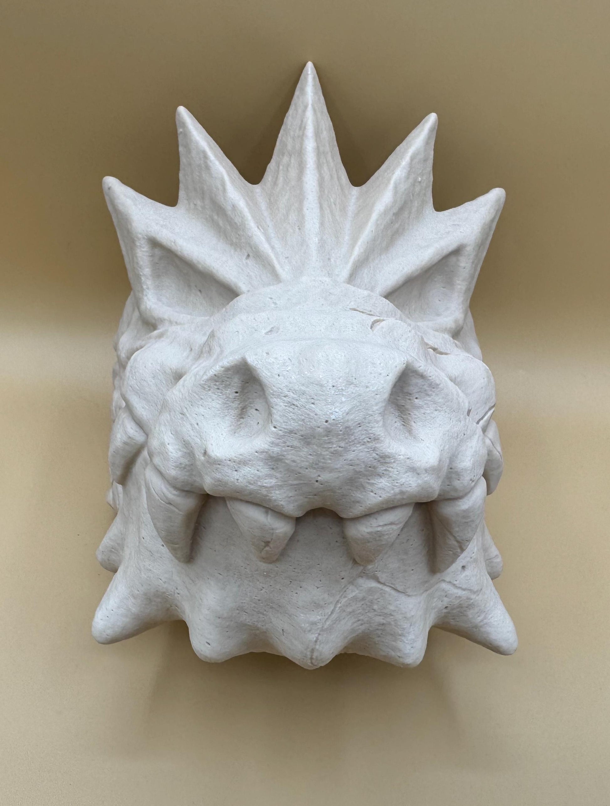 Large Tyrantrum Skull