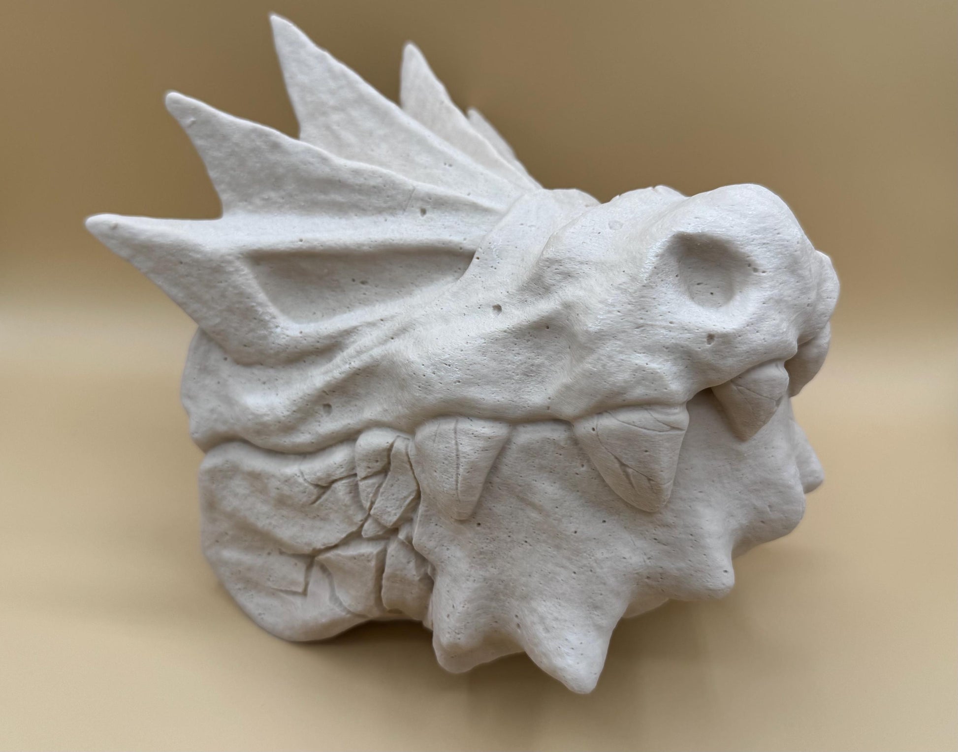 Large Tyrantrum Skull