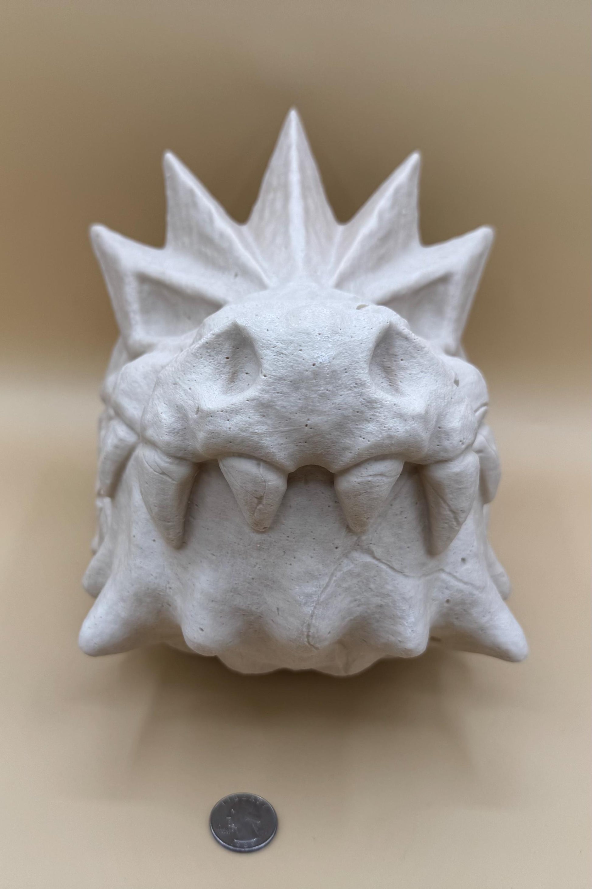 Large Tyrantrum Skull