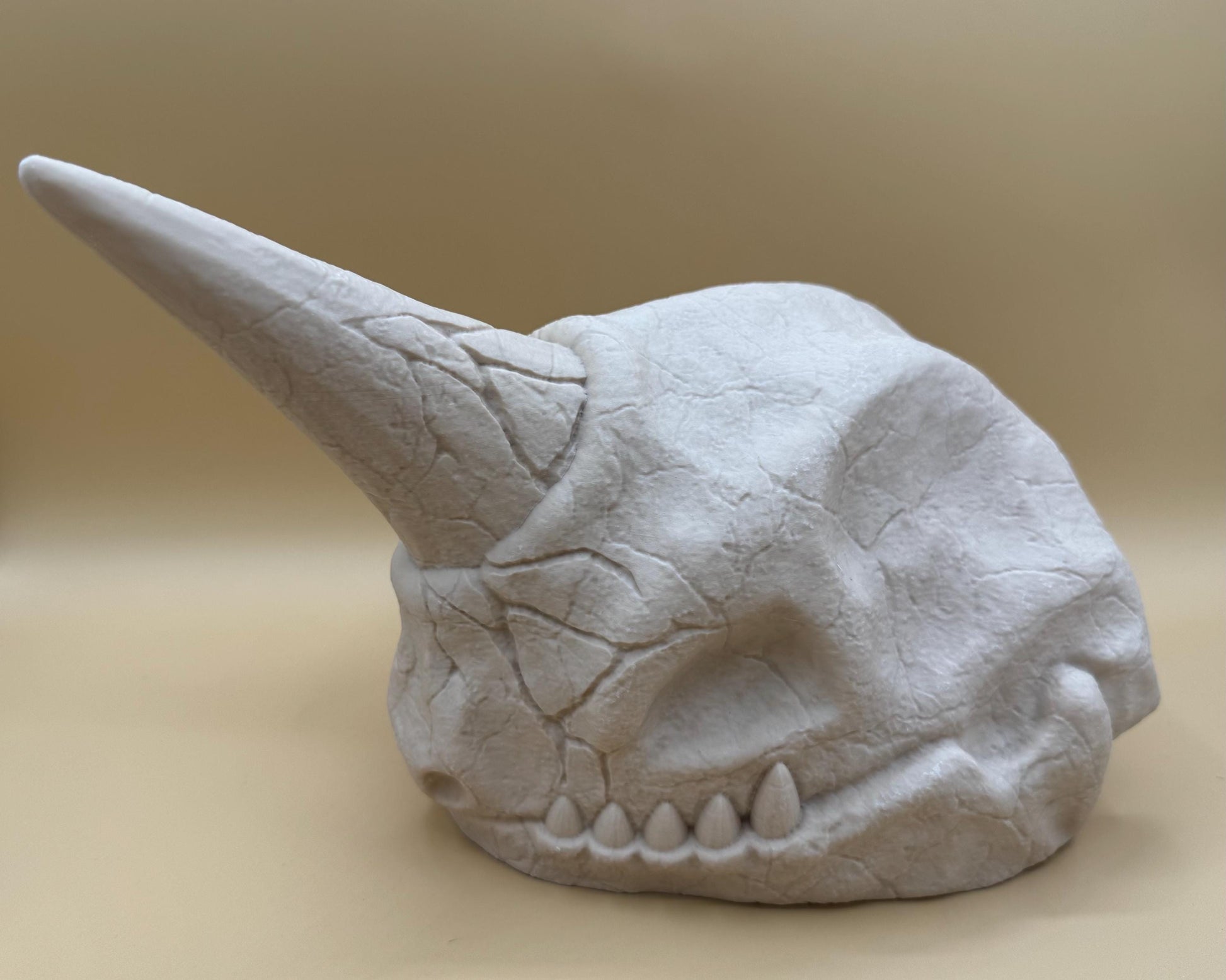 Large Nidoking Skull