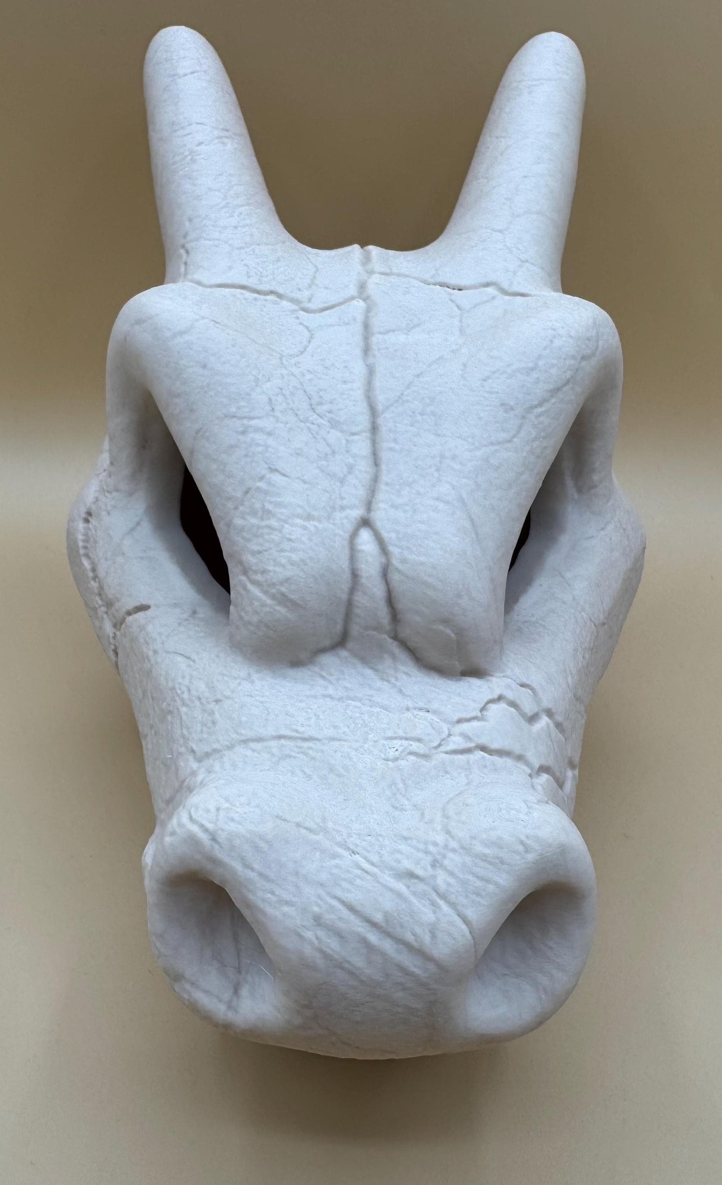 Charizard Skull