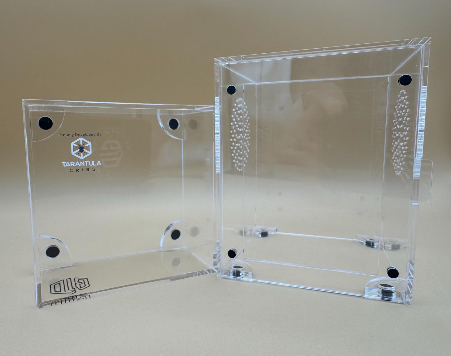 4x4x7” Tarantula Cribs “Bricktop” jumping spider enclosure