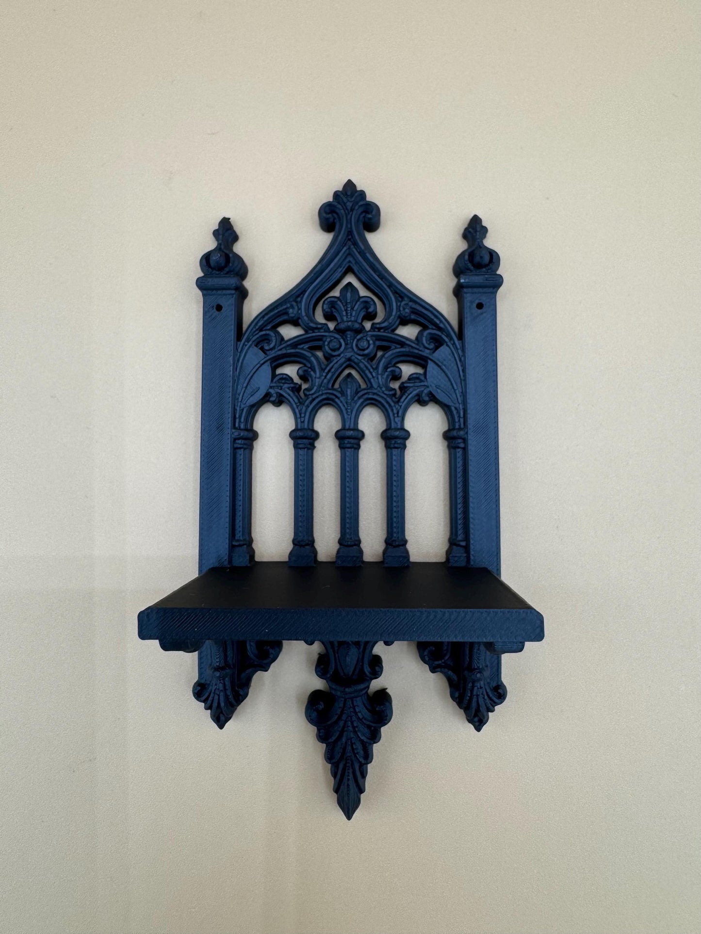 Cathedral shelf ledge for jumping spiders