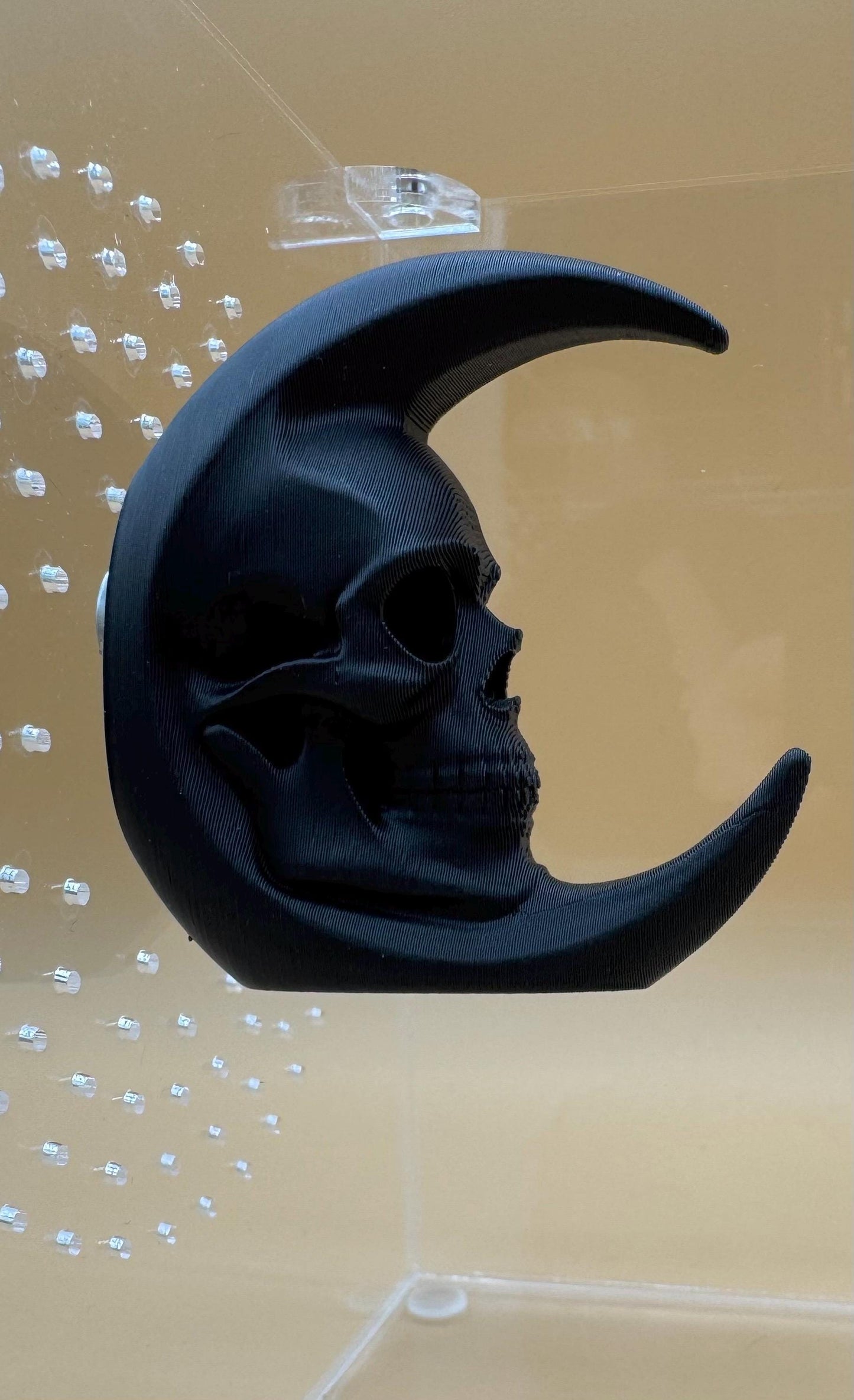 Skull moon ledge for jumping spiders