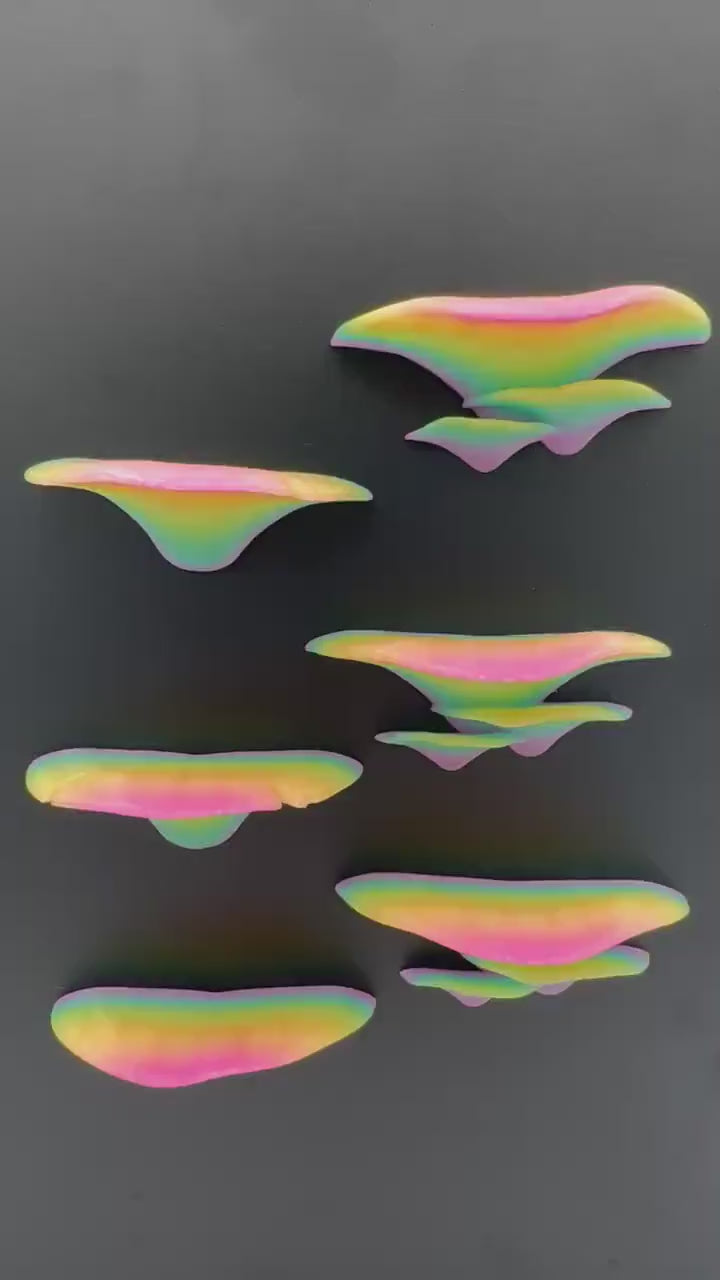 Magnetic rainbow “glow” mushroom ledge *Built In Magnet*