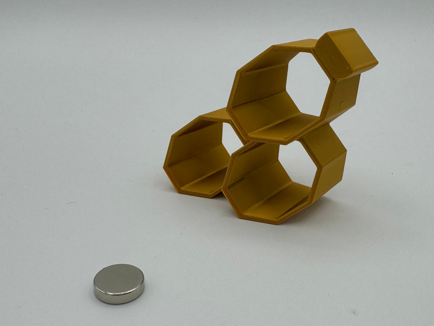 “Triple-Hex Magnetic Jumping Spider Hide