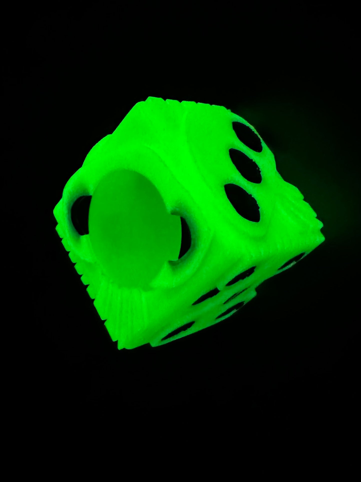 Oogie Dice Jumping Spider Hide