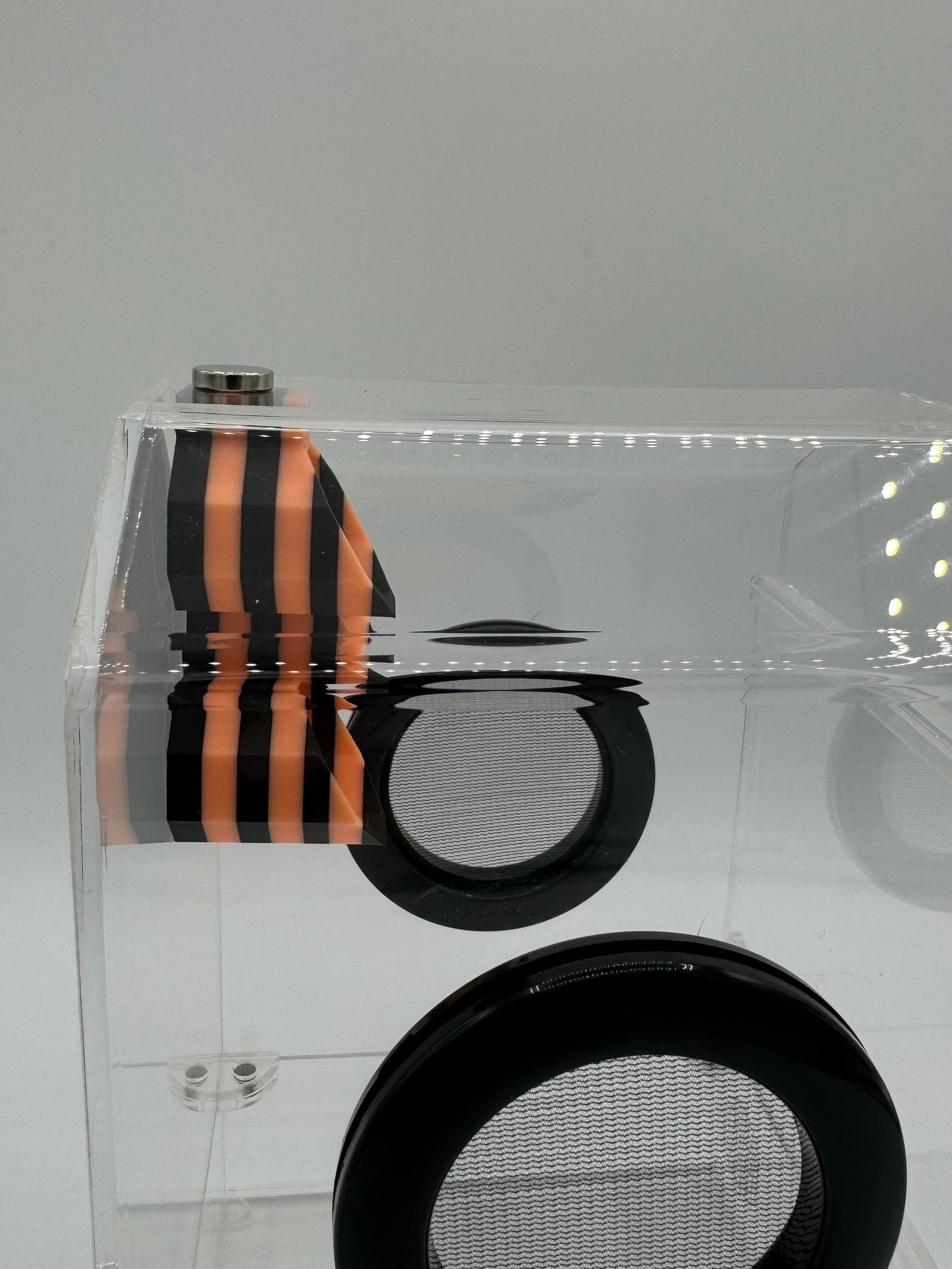 “Triple-Hex Magnetic Jumping Spider Hide