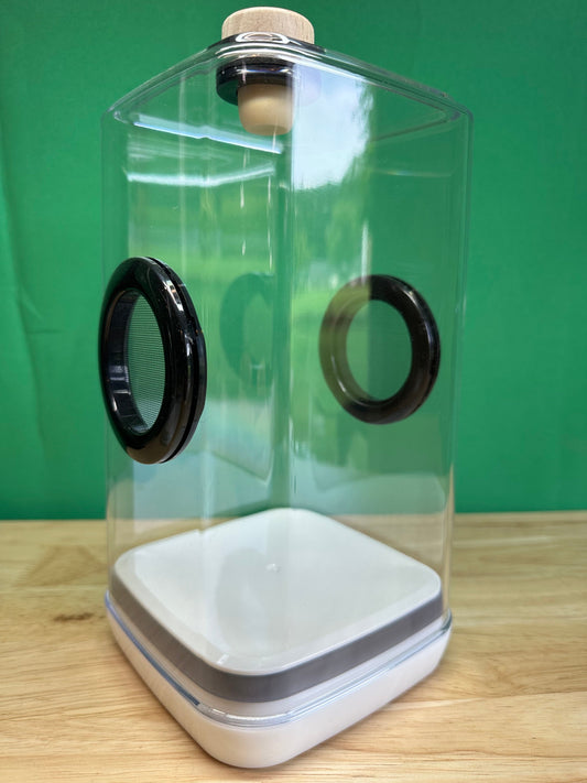 9x5x5 Clear jumping spider enclosure with black vents