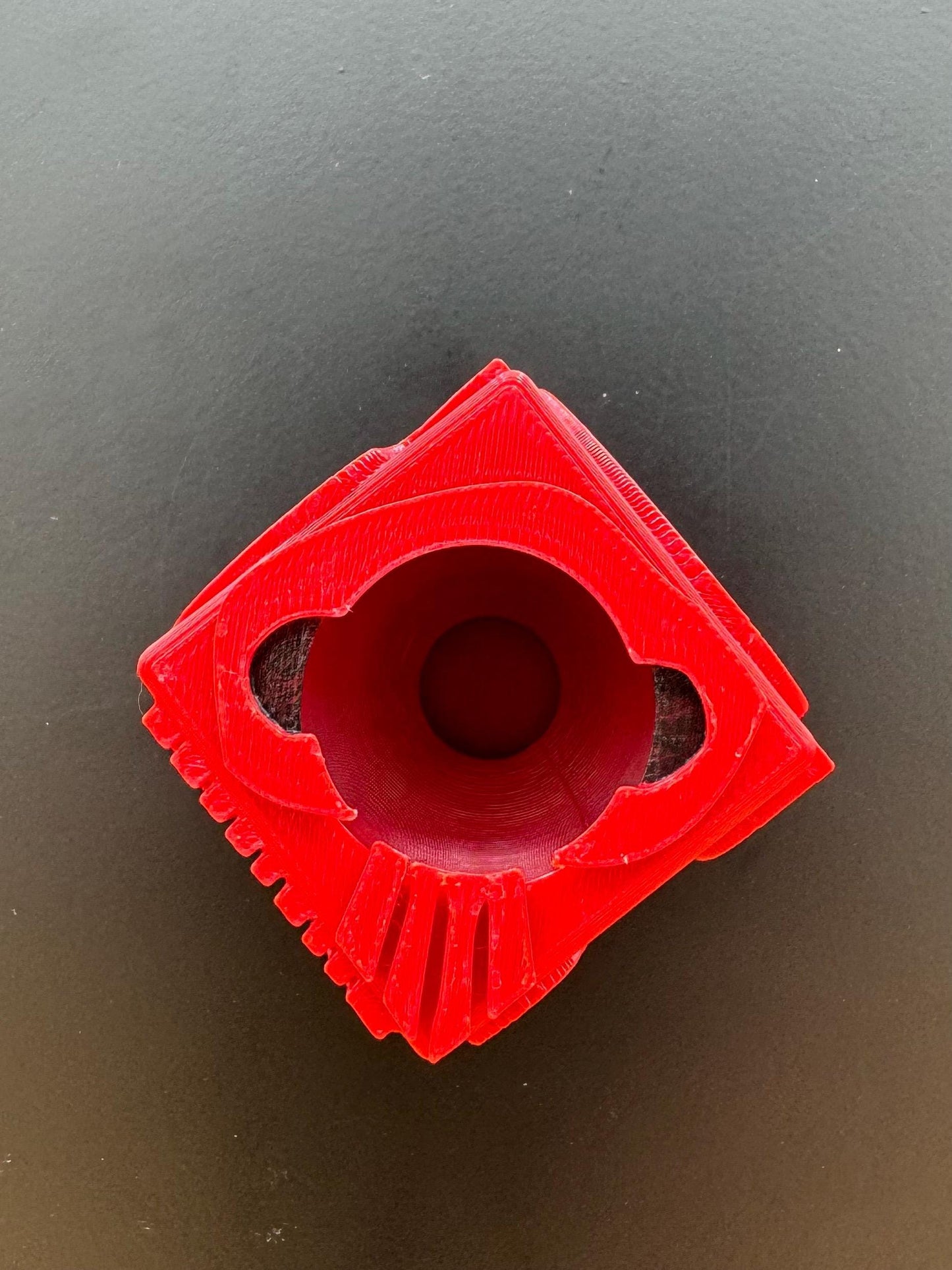 Boogie Dice jumping spider hide