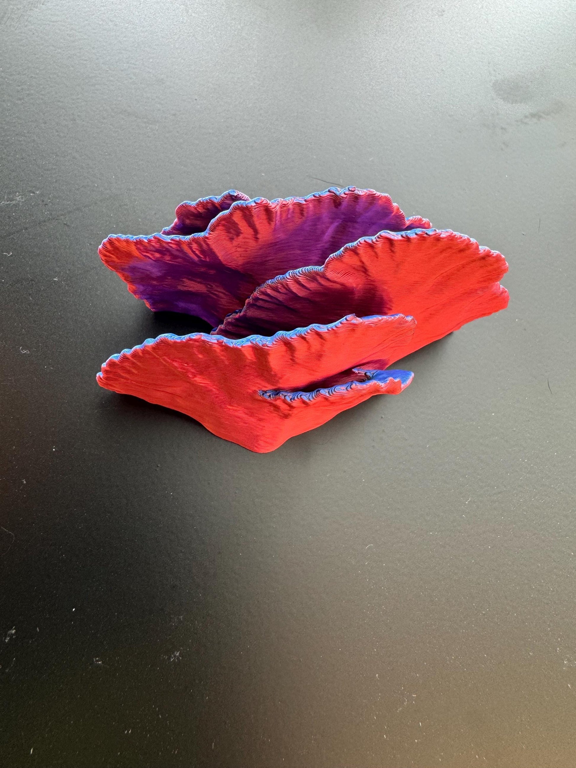 Magnetic coral ledge *Built In Magnet*