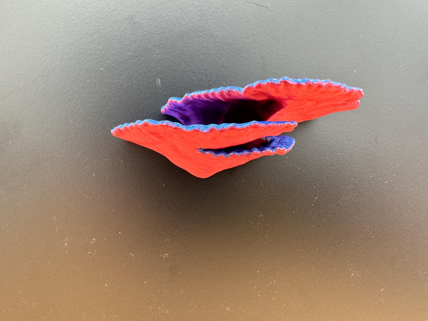 Magnetic coral ledge *Built In Magnet*