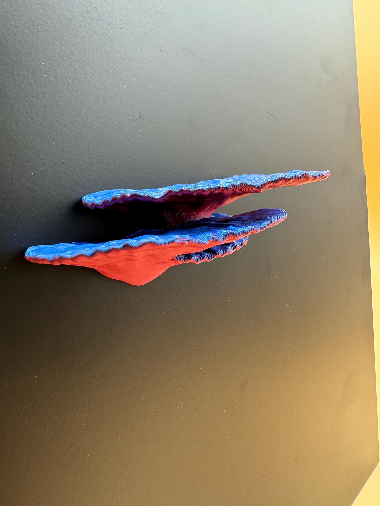 Magnetic coral ledge *Built In Magnet*