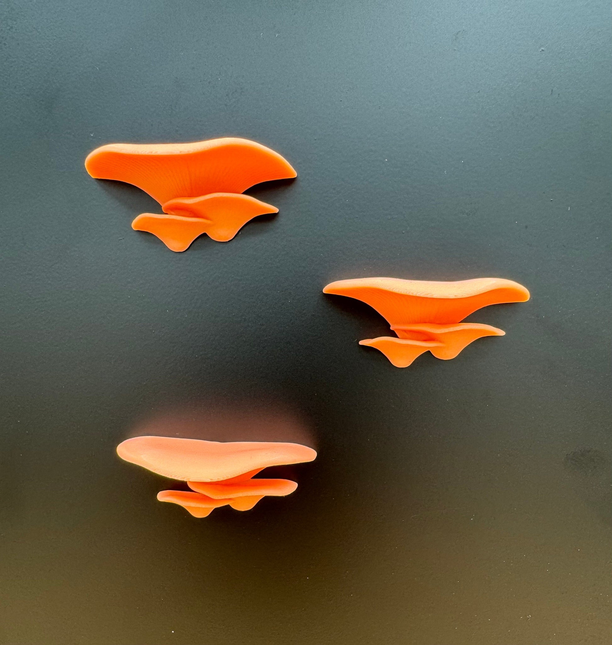 Magnetic Orange “glow” mushroom ledge *Built In Magnet*