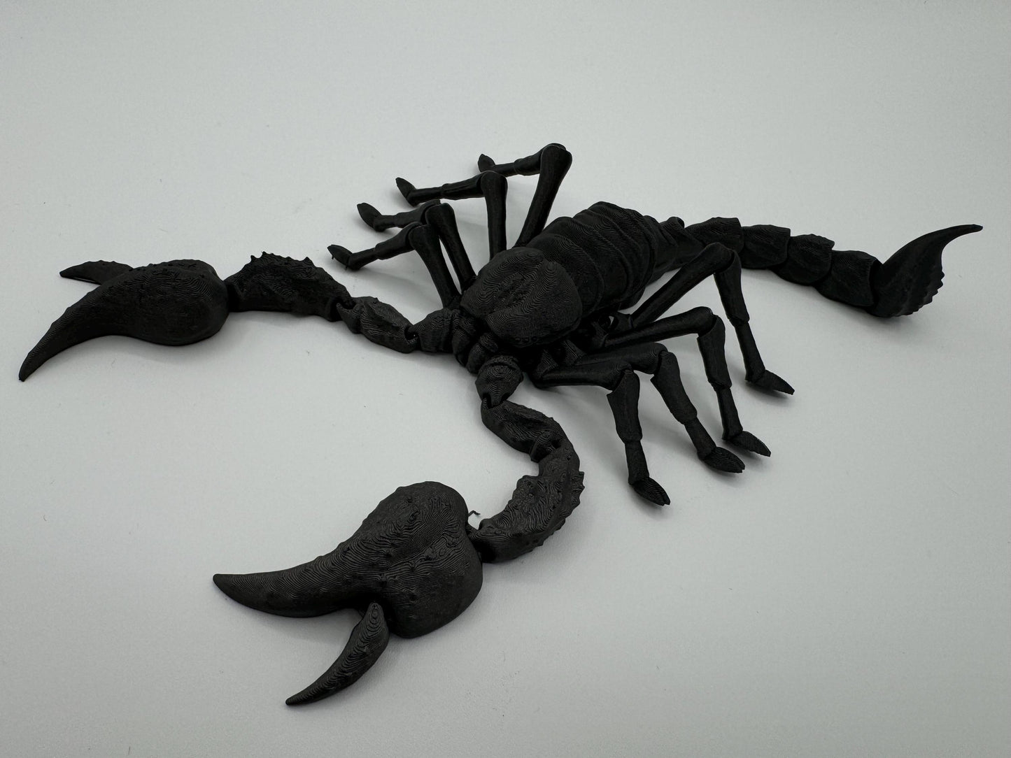 Large 11” Articulating Emperor scorpion