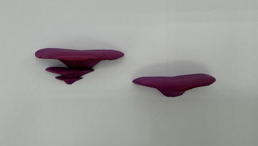Purple magnetic mushroom ledge *Built In Magnet*