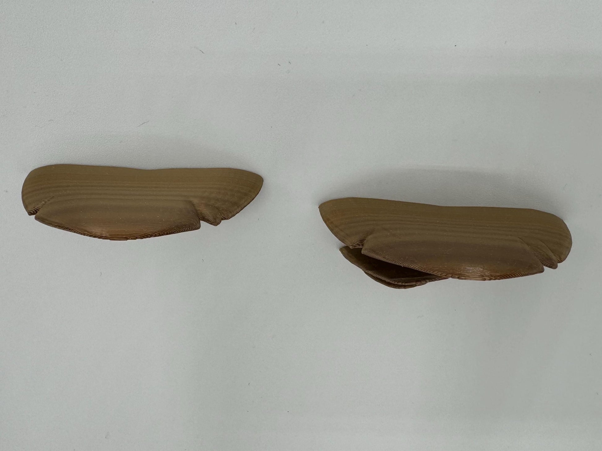Bronze magnetic mushroom ledge *Built In Magnet*