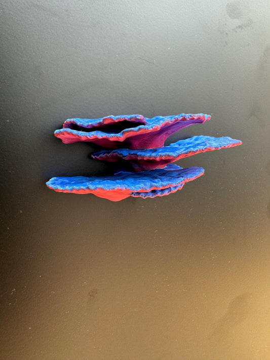 Magnetic coral ledge *Built In Magnet*