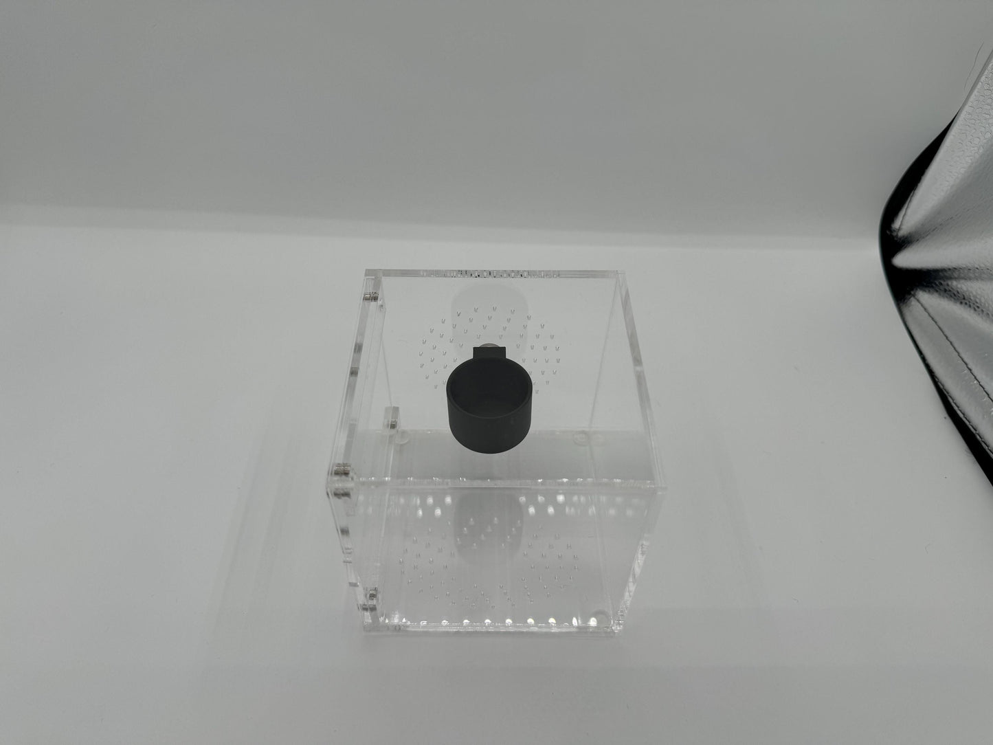 Small 3D Printed feeder bowl for jumping spiders and exotics