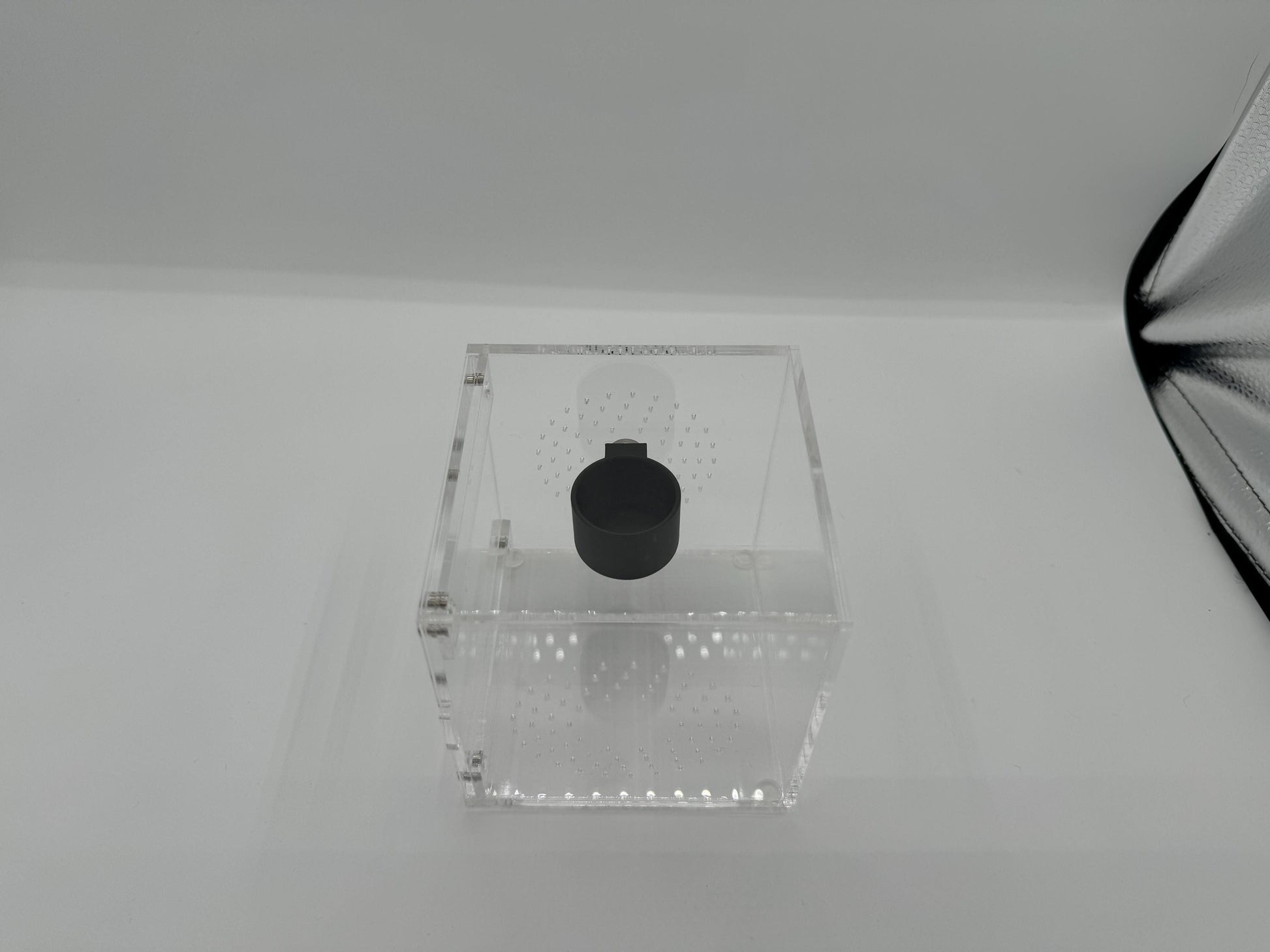 Small 3D Printed feeder bowl for jumping spiders and exotics