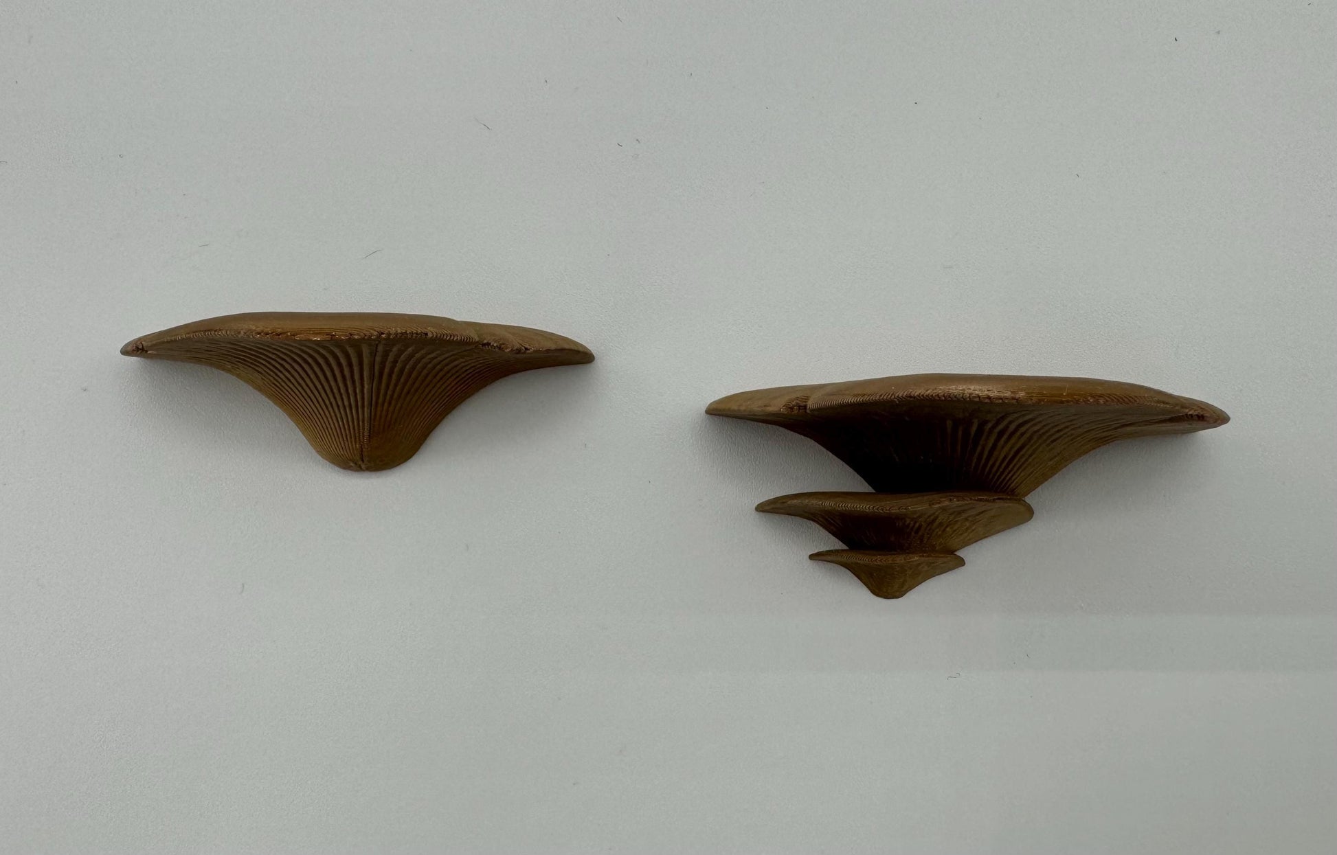 Bronze magnetic mushroom ledge *Built In Magnet*