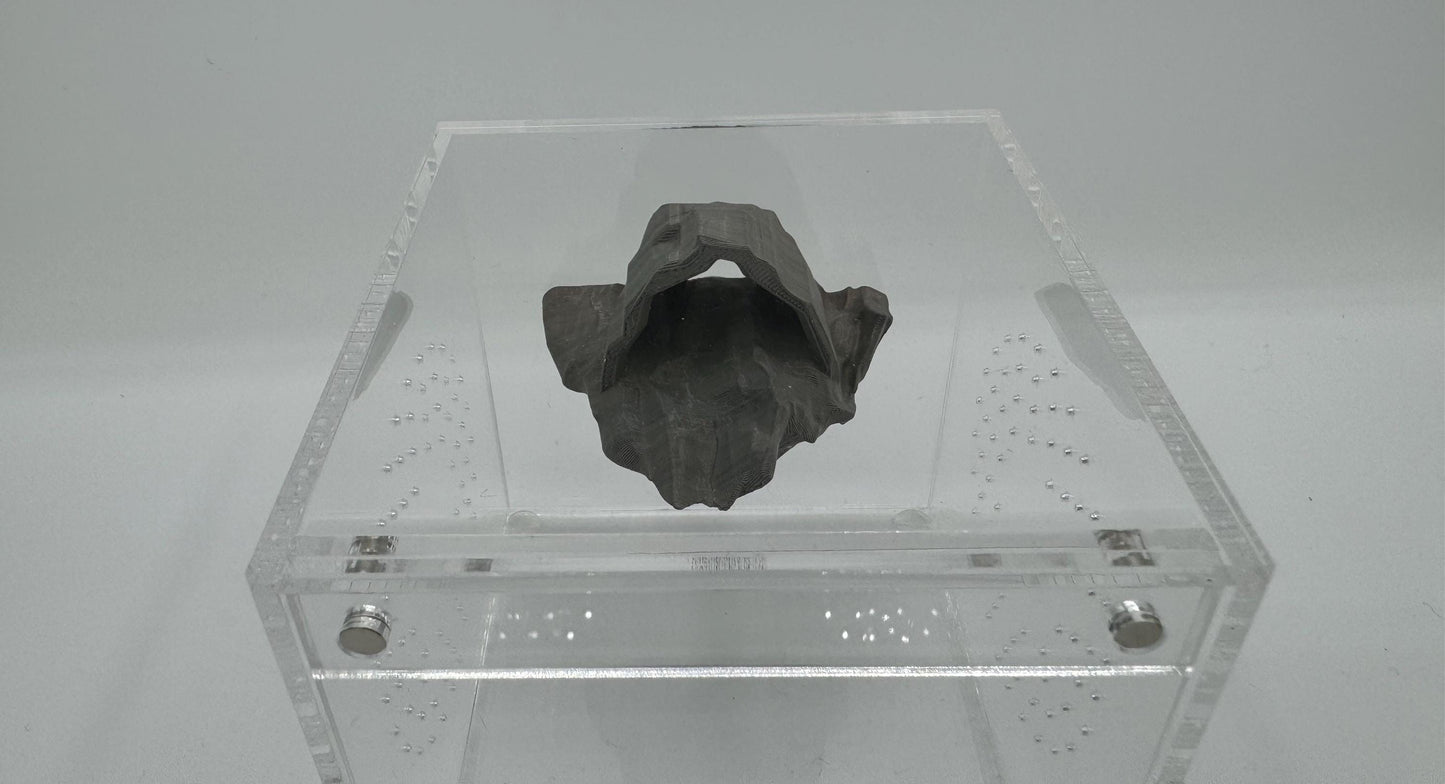 Magnetic Cave Jumping Spider Hide/ ledge *Built In Magnet*