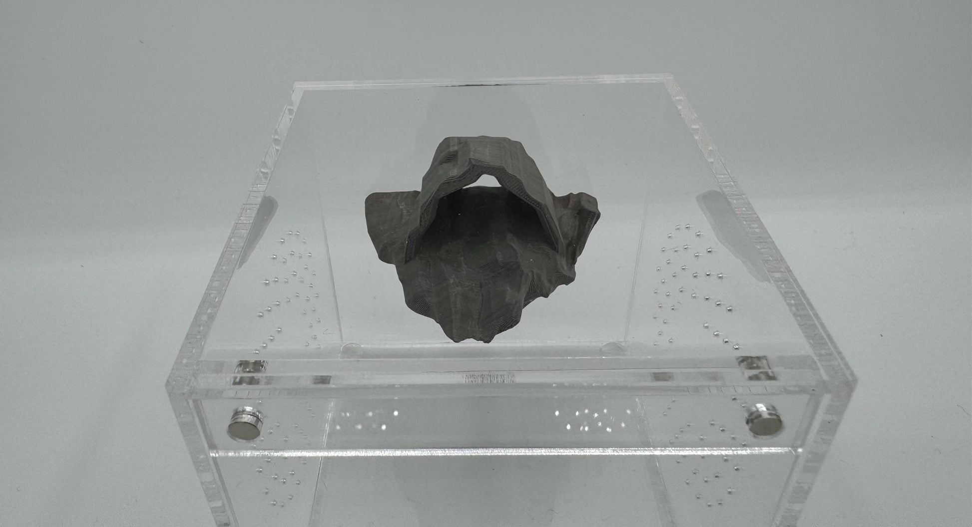 Magnetic Cave Jumping Spider Hide/ ledge *Built In Magnet*