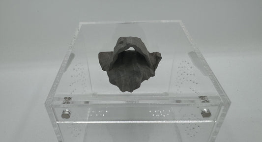 Magnetic Cave Jumping Spider Hide/ ledge *Built In Magnet*