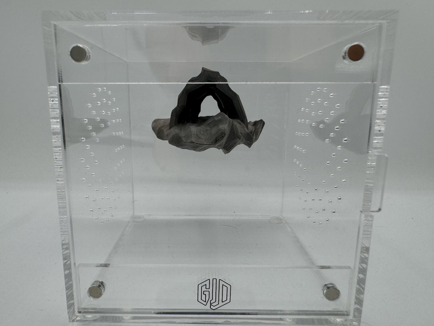 Magnetic Cave Jumping Spider Hide/ ledge *Built In Magnet*