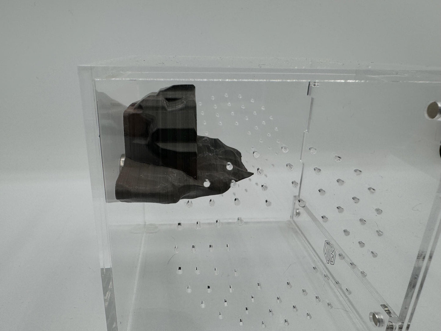 Magnetic Cave Jumping Spider Hide/ ledge *Built In Magnet*