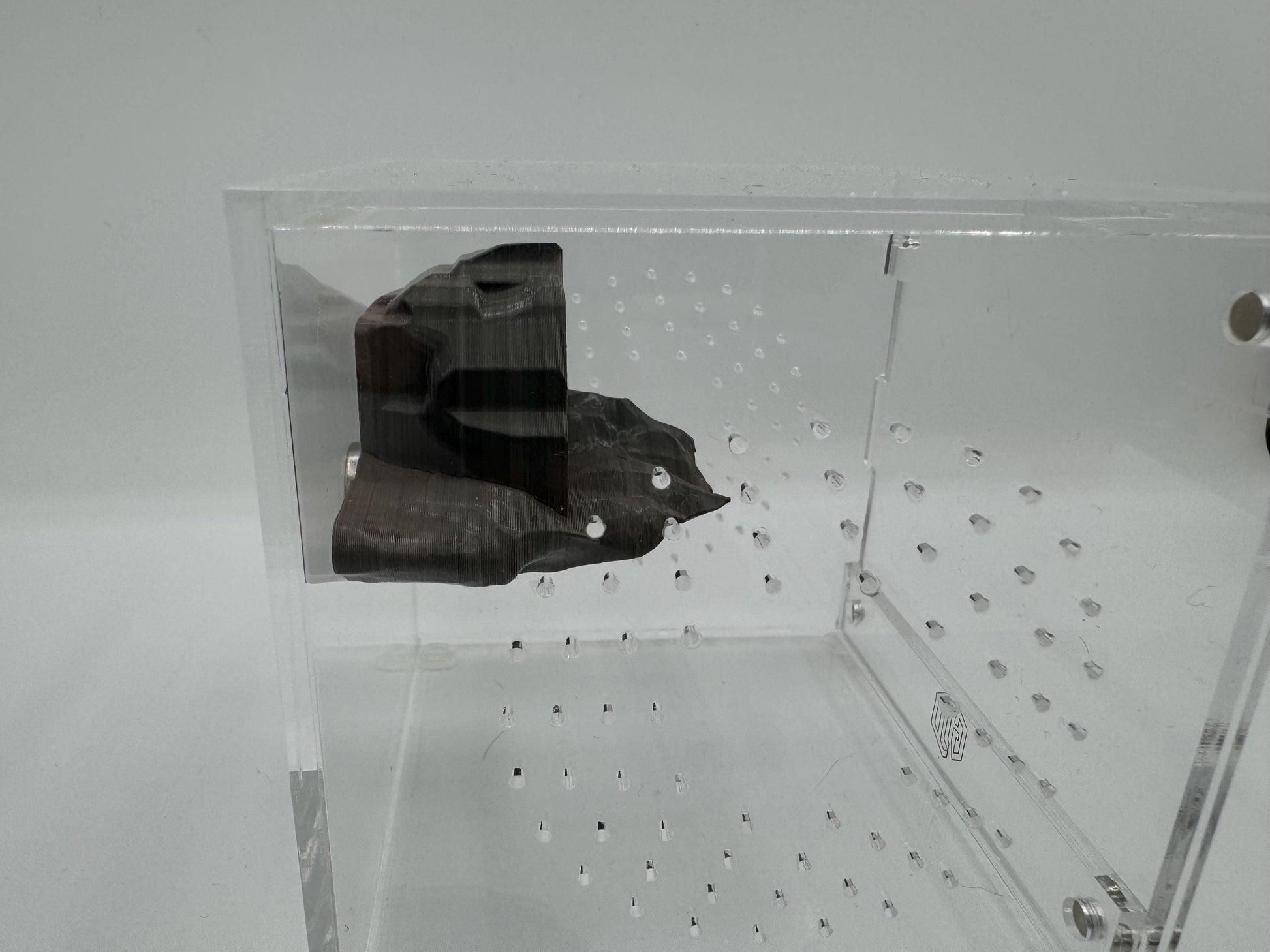 Magnetic Cave Jumping Spider Hide/ ledge *Built In Magnet*