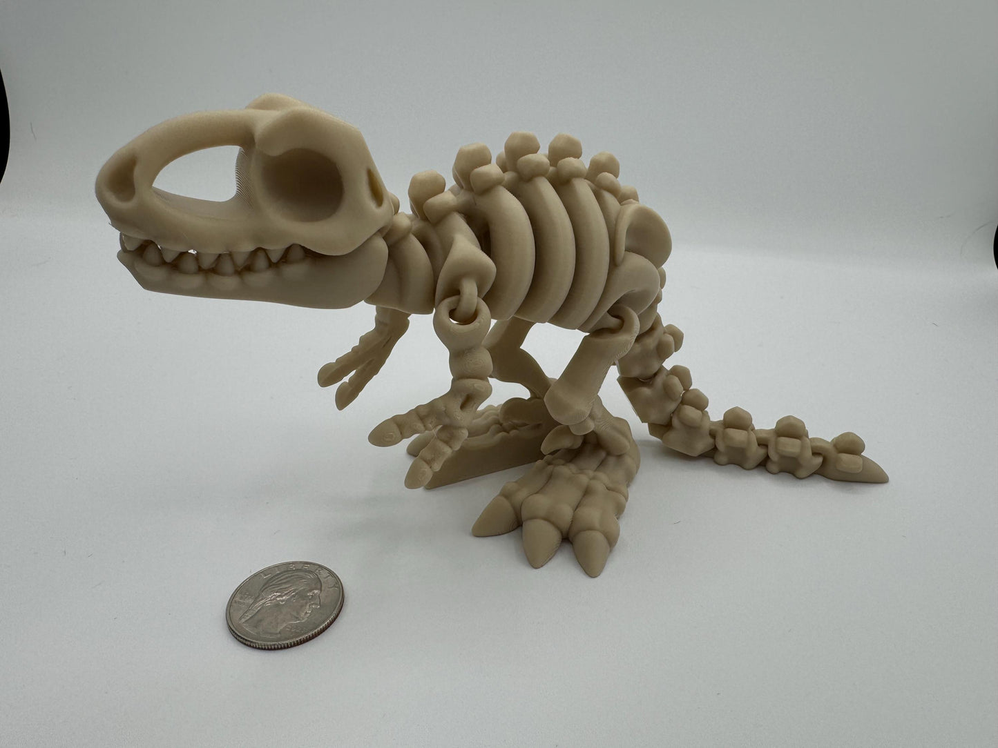 Articulating Bone Dino