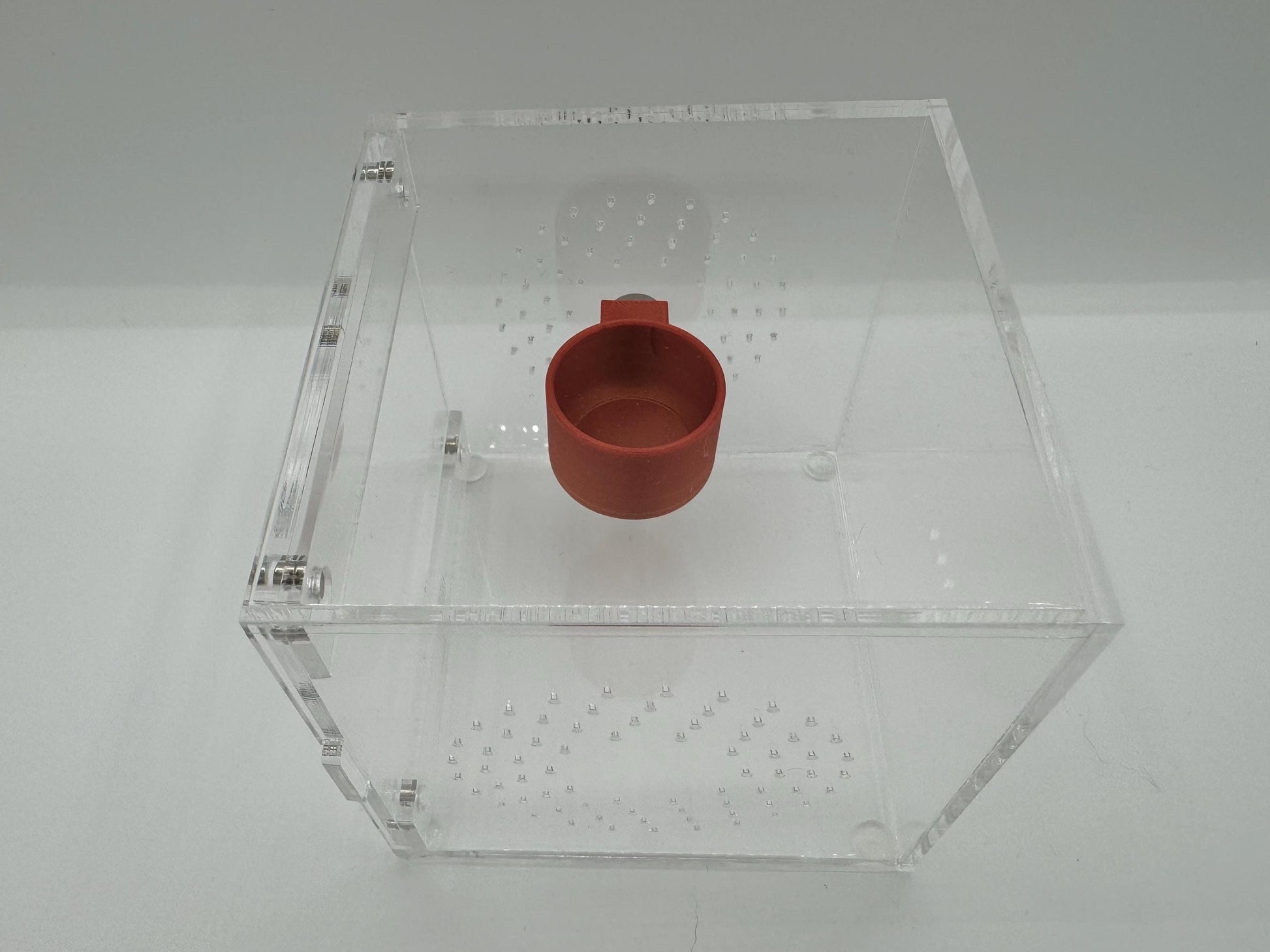 Small 3D Printed feeder bowl for jumping spiders and exotics