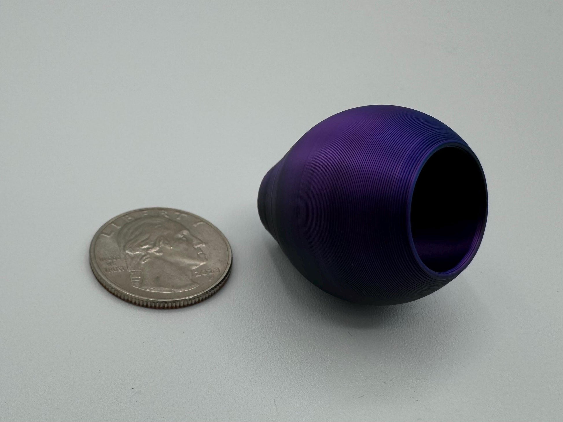 Small Magnetic Jumping Spider Hide *Built In Magnet*